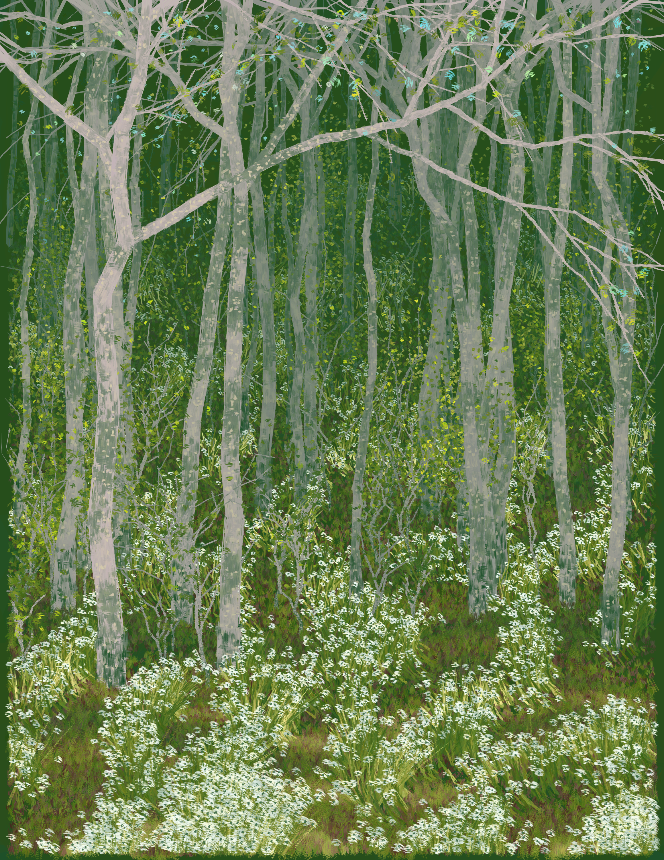 Buckeye Cove in Spring