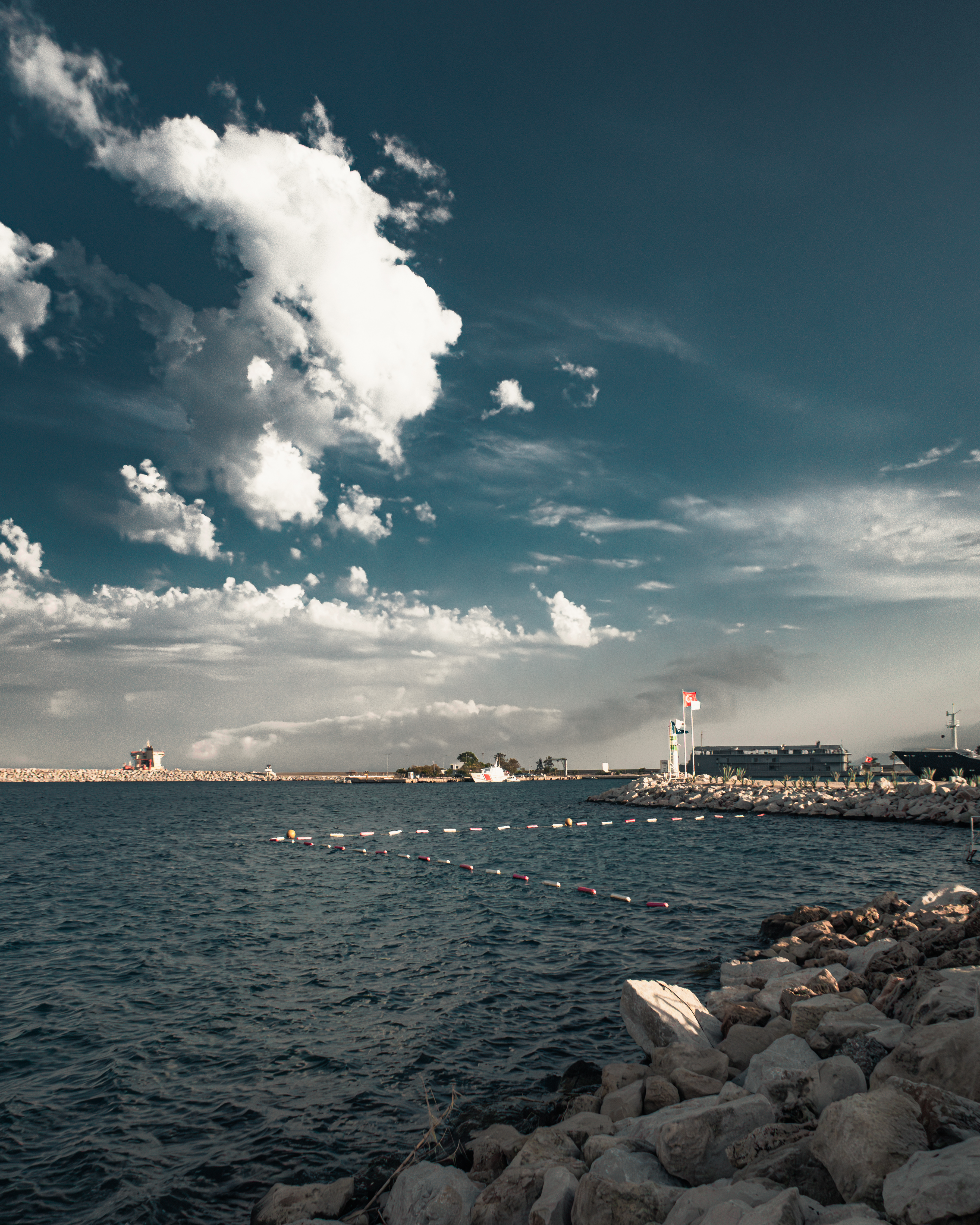 Harbor’s Edge #67