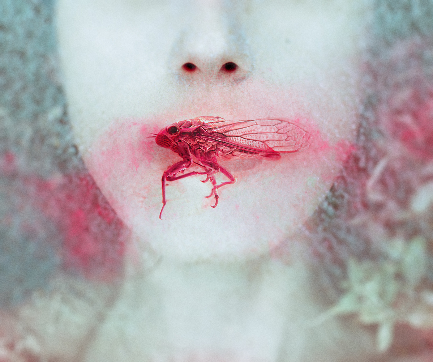 La chicharra (detail)