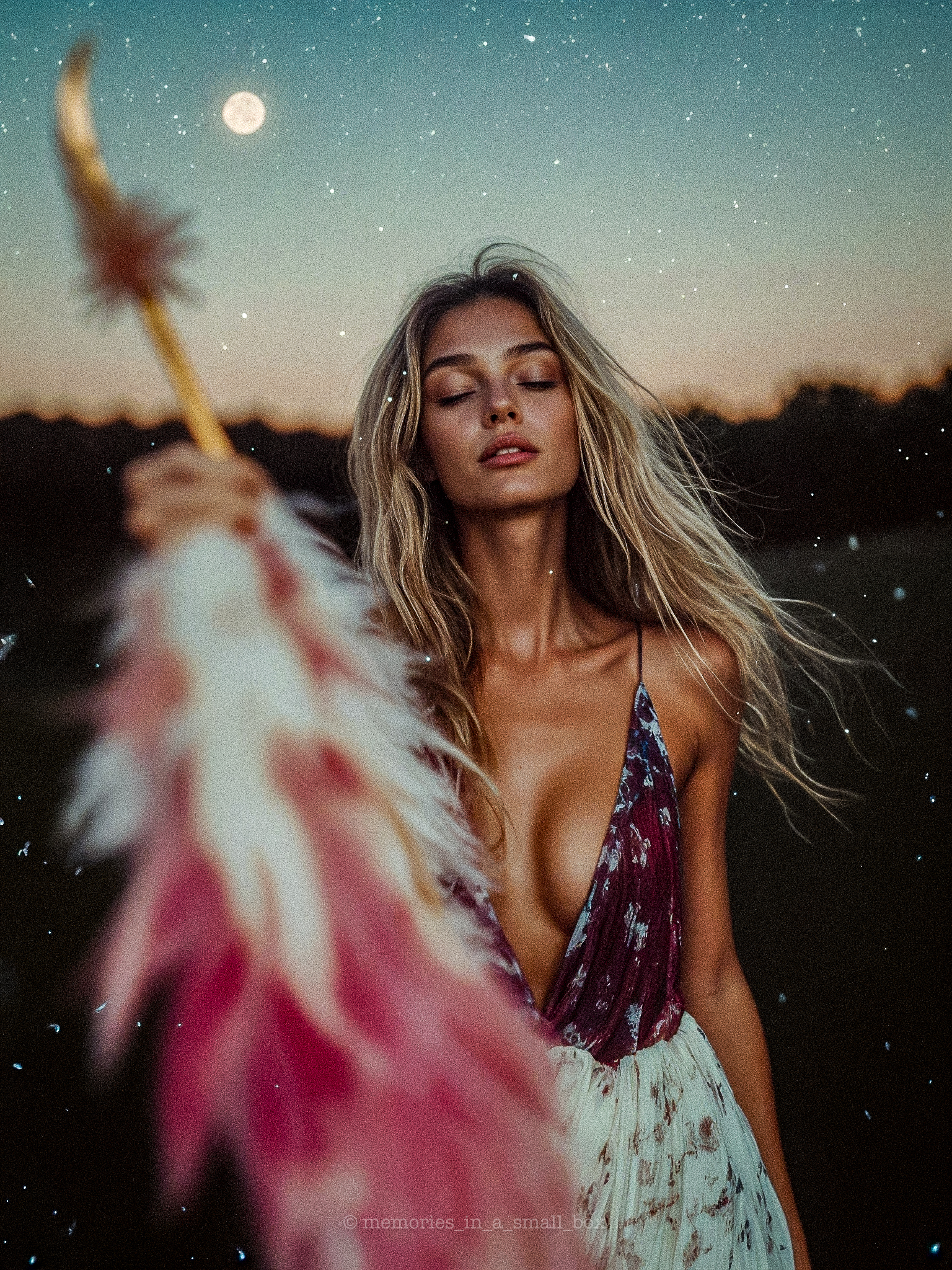 - ƒєαтнєяℓιgнт ∂яєαмѕ - #326