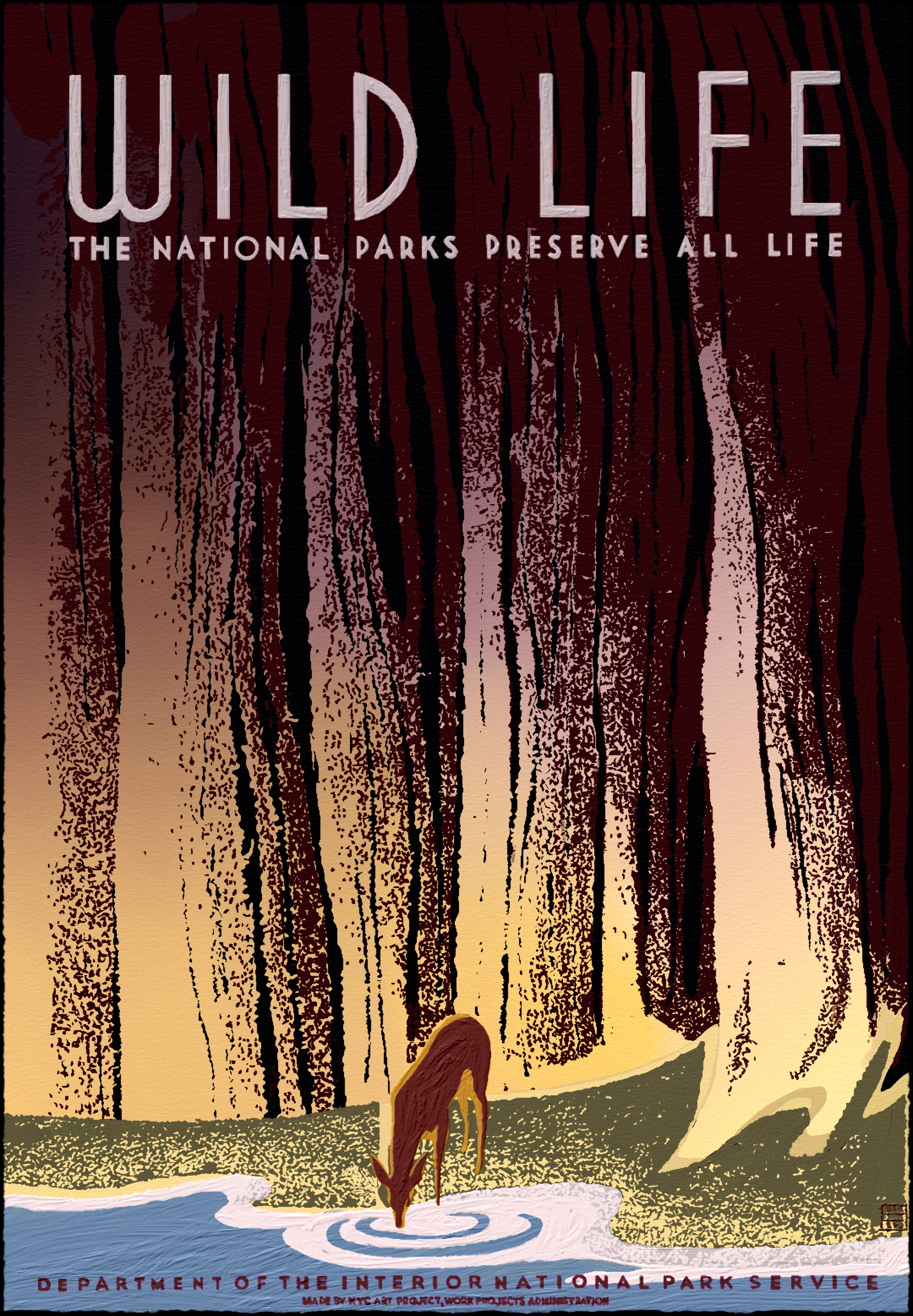 Wild Life // The National Parks