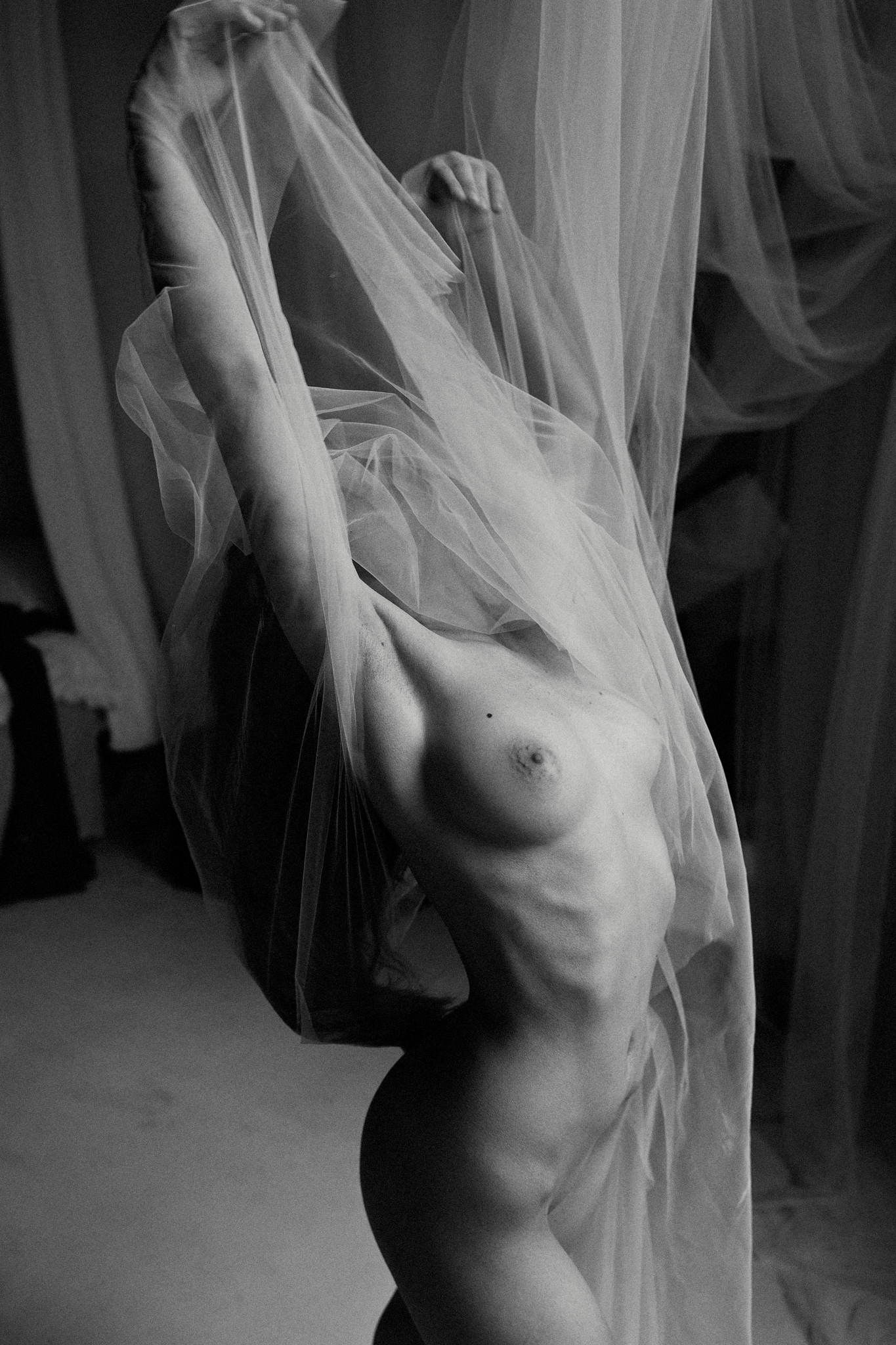 Veil