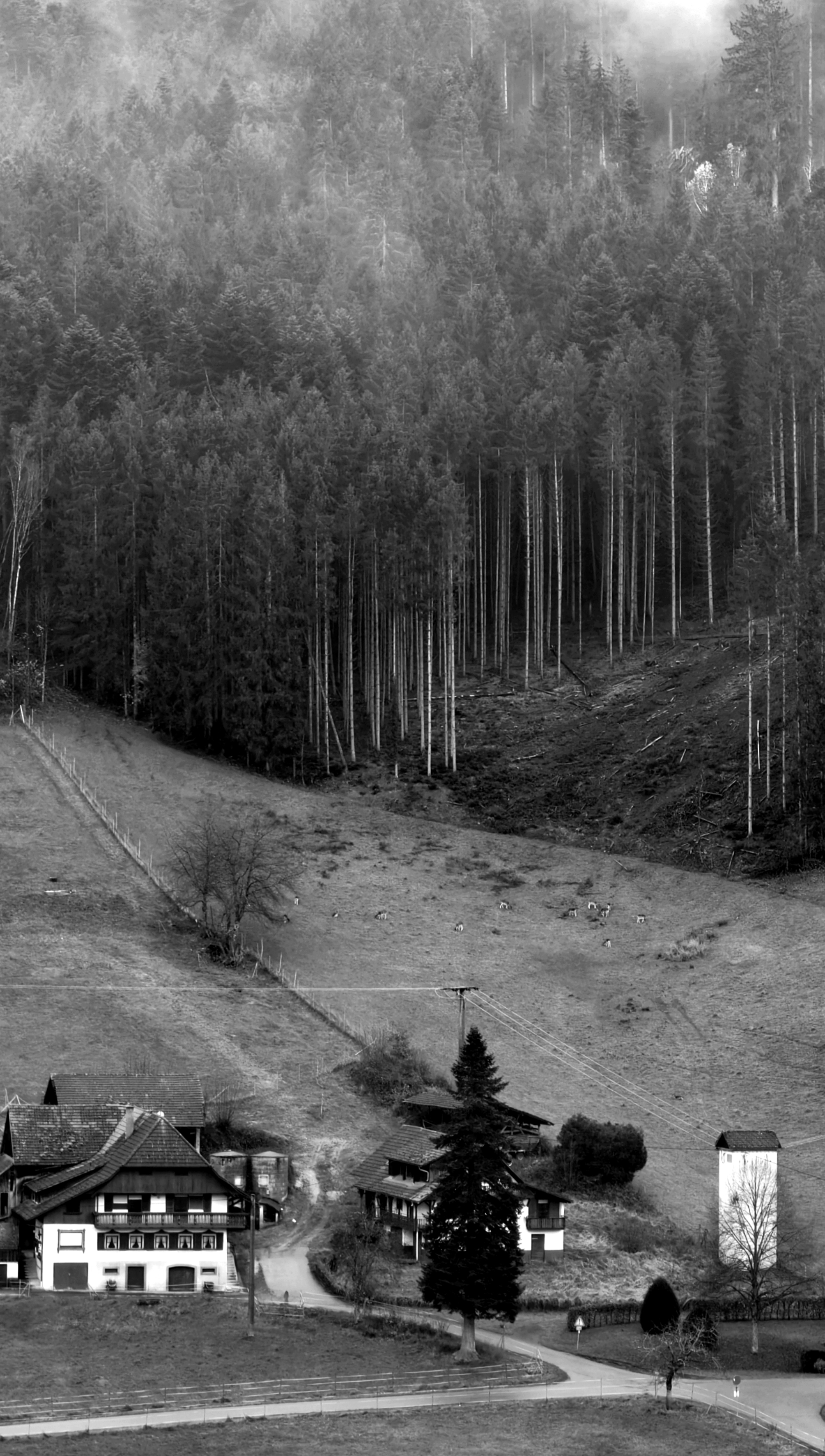 Black Forest, Germany