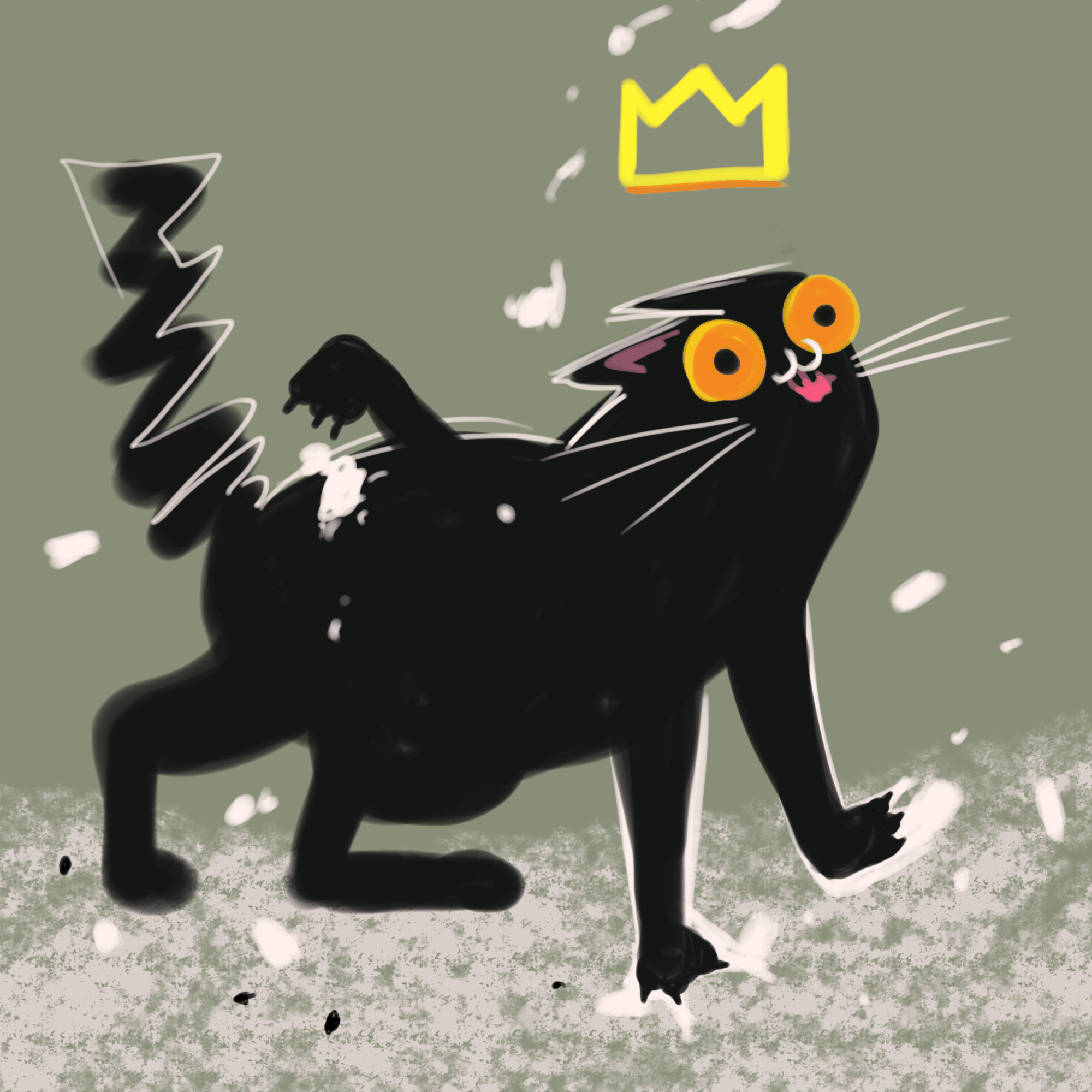 Snocat.◌ ⁍ (⨭⁙⨮)ノ