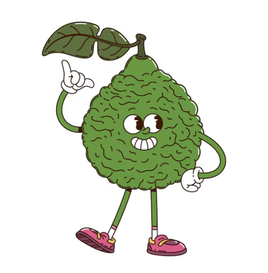 bergamot