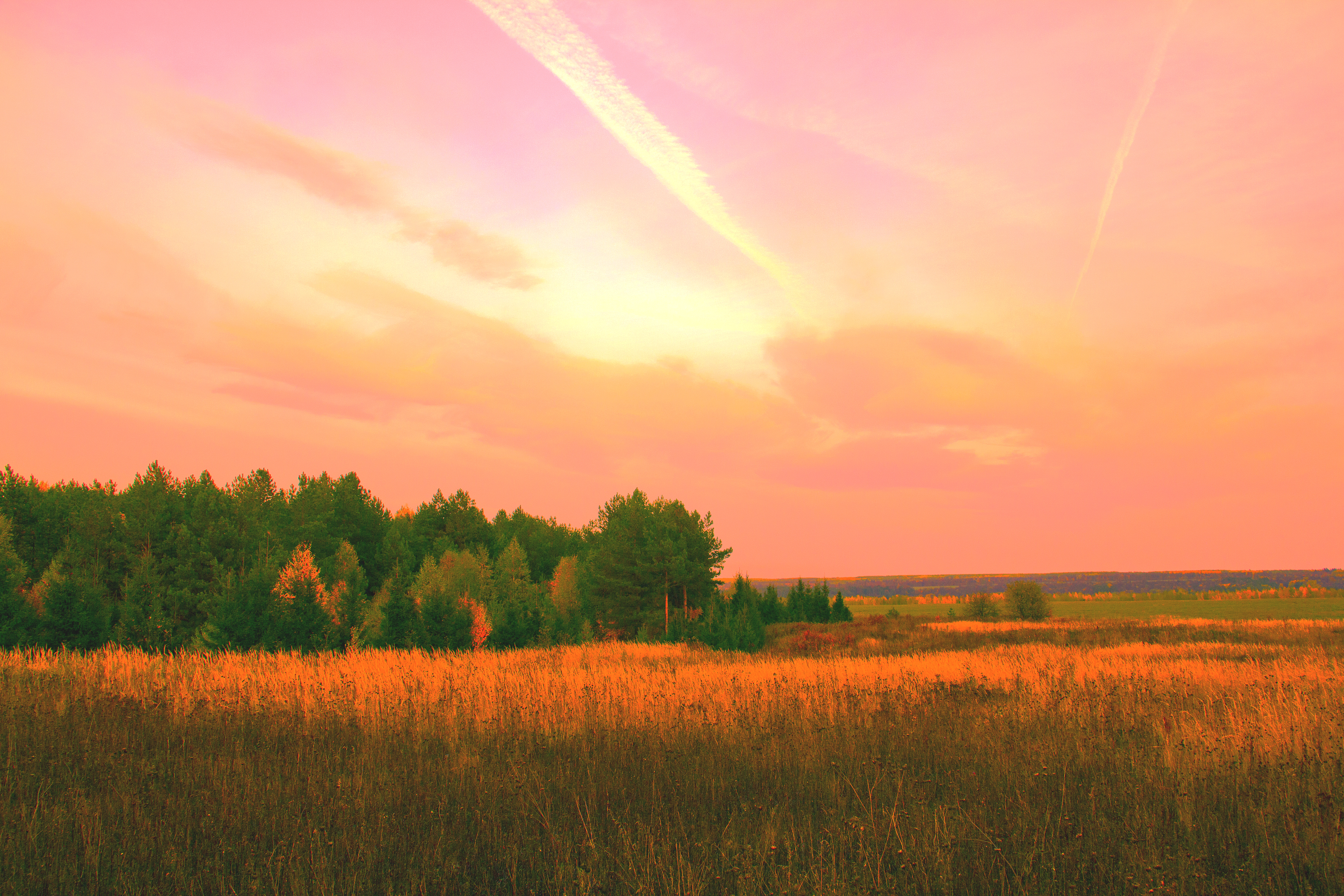 PICTURESQUE SCENERY 0172