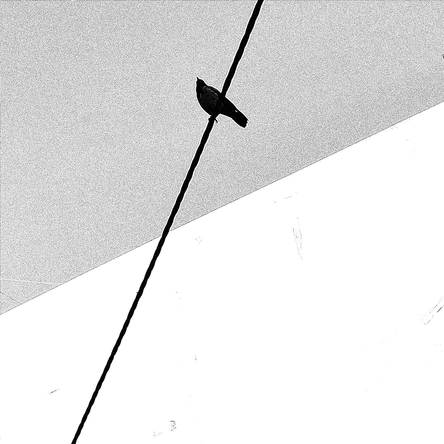 the border