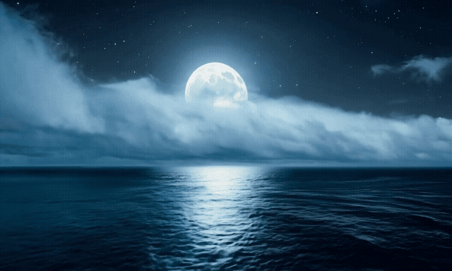Music - Lessons of the Sea #511
