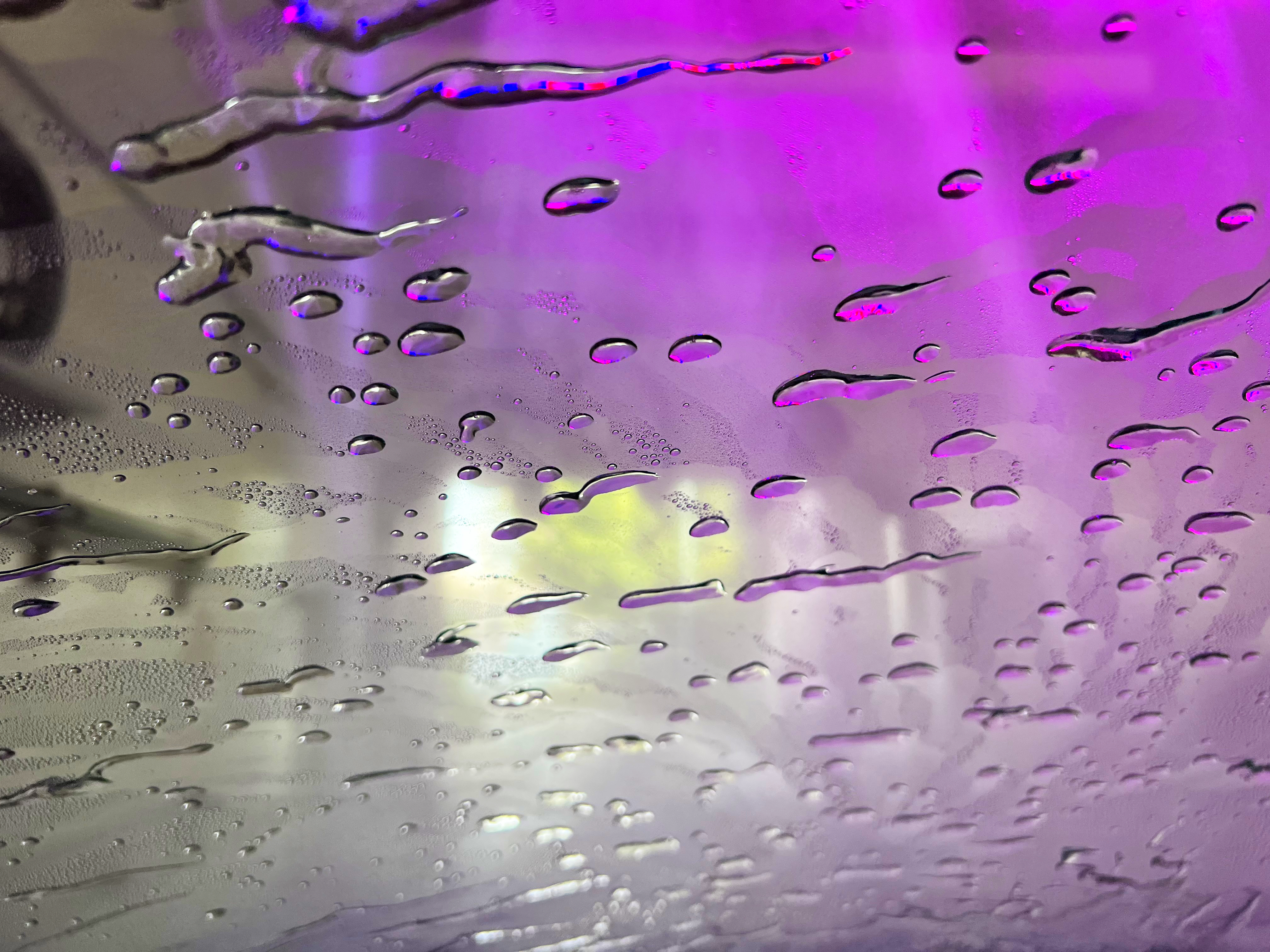 At the Car Wash - Purple