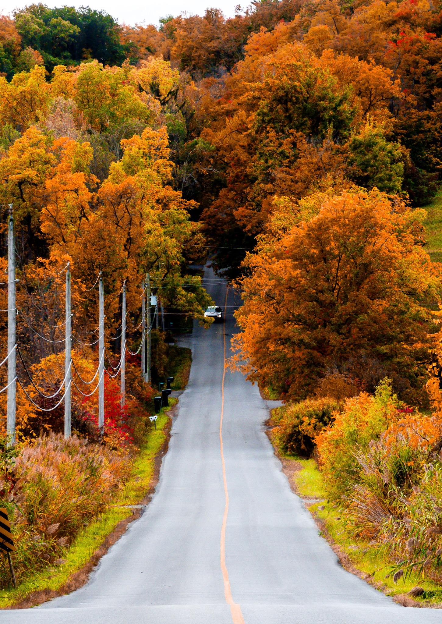 Country Road, Take me Home #61