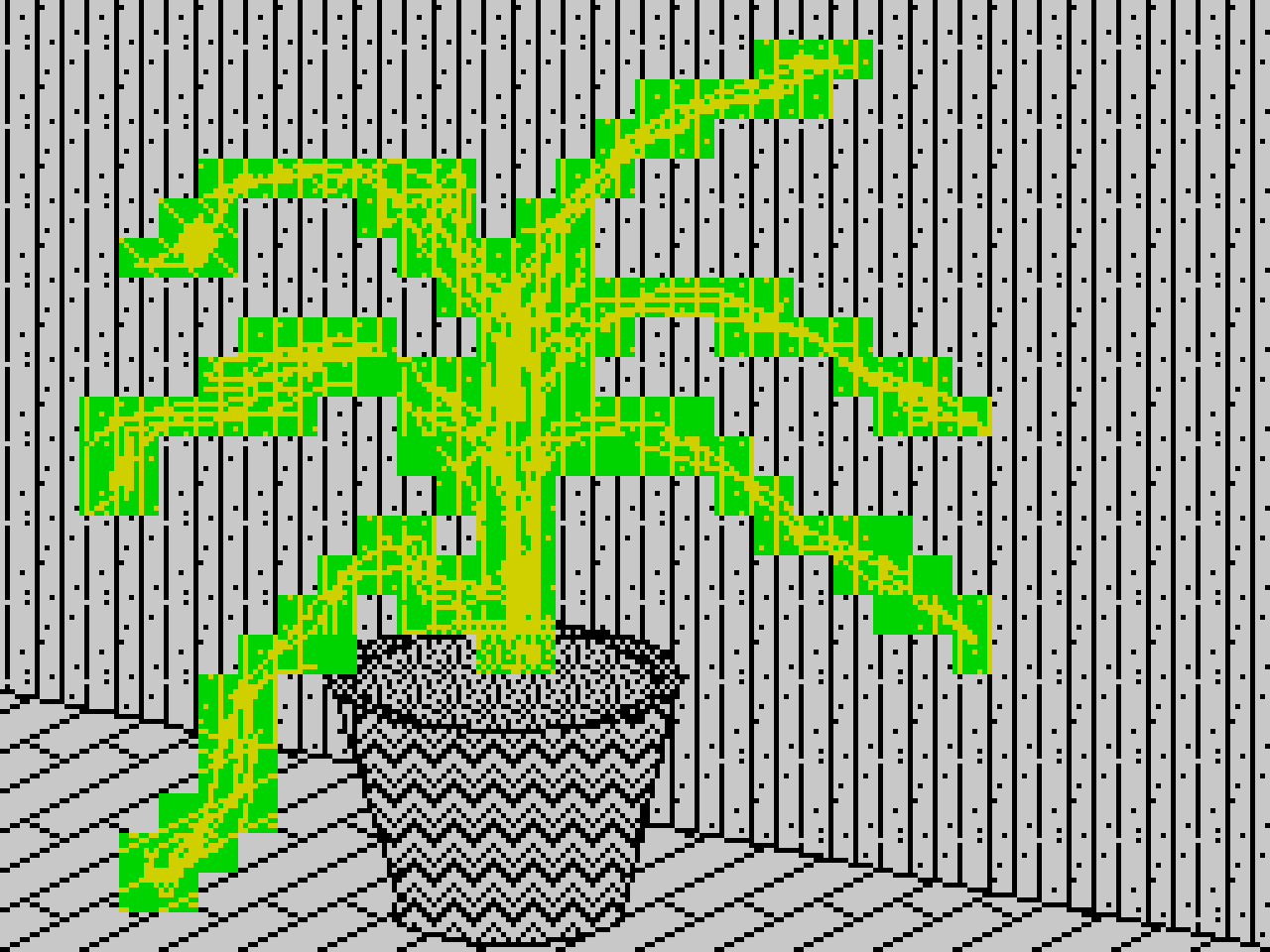 another plant with no name