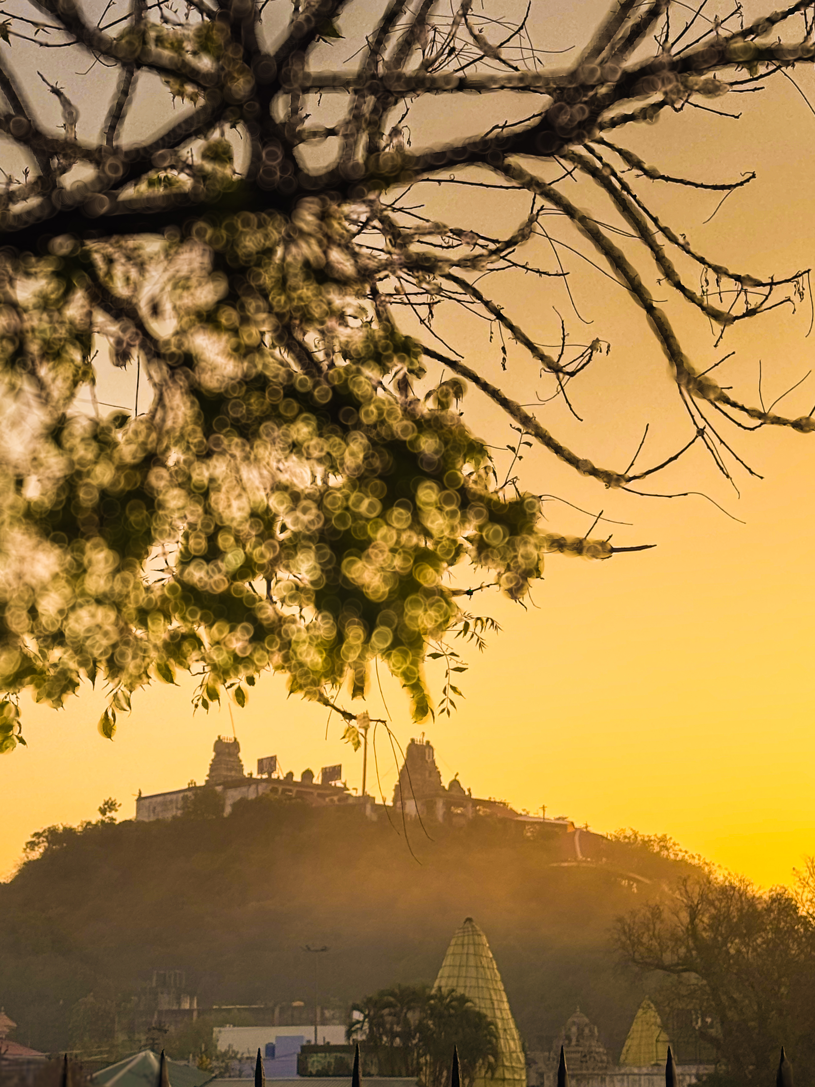 Golden hours 😍🔥