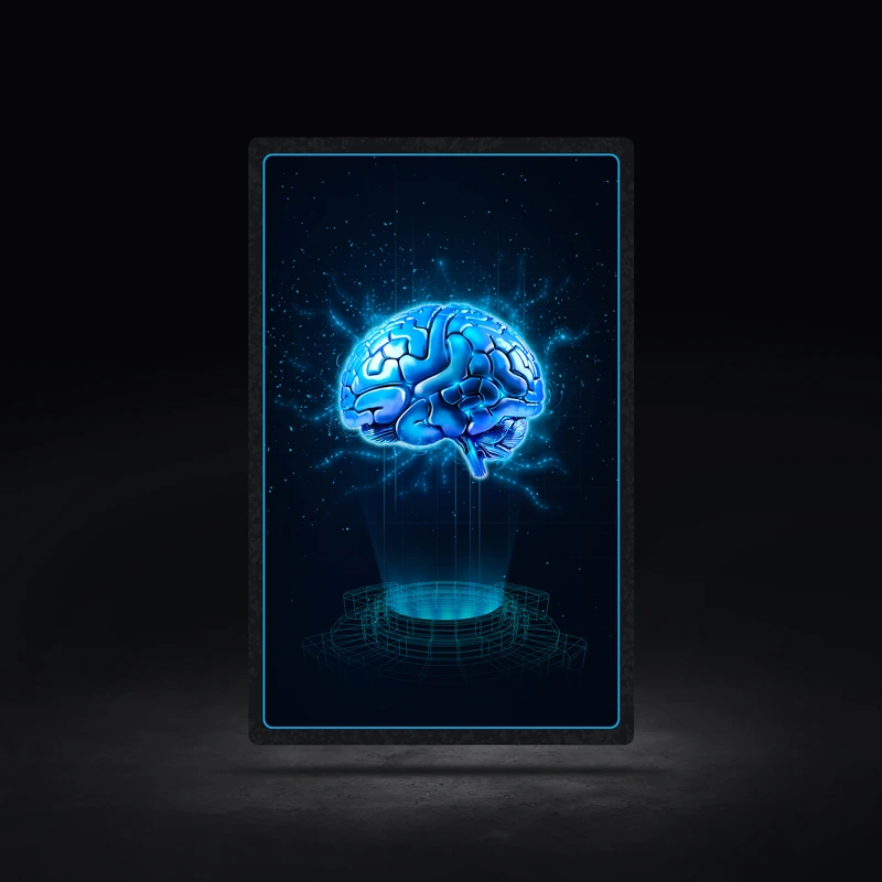 GWAY Brain #3329