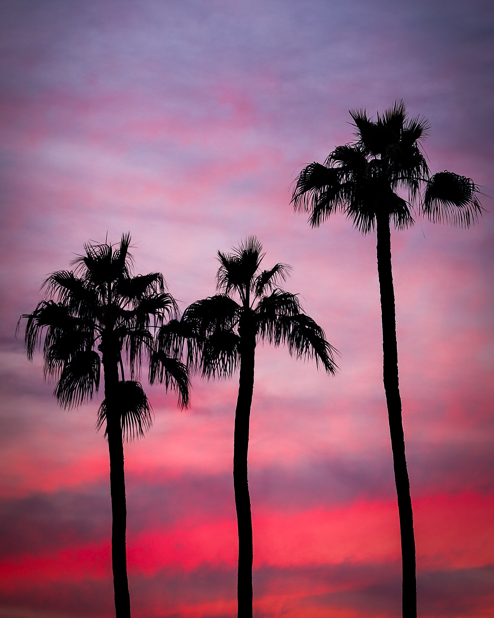 taking nothing in this life for granted