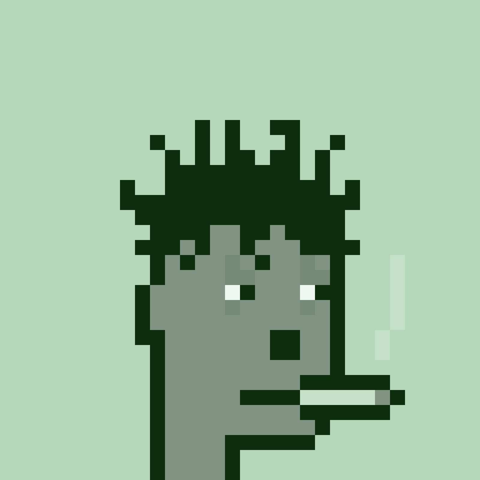 MonochromePunk #1101