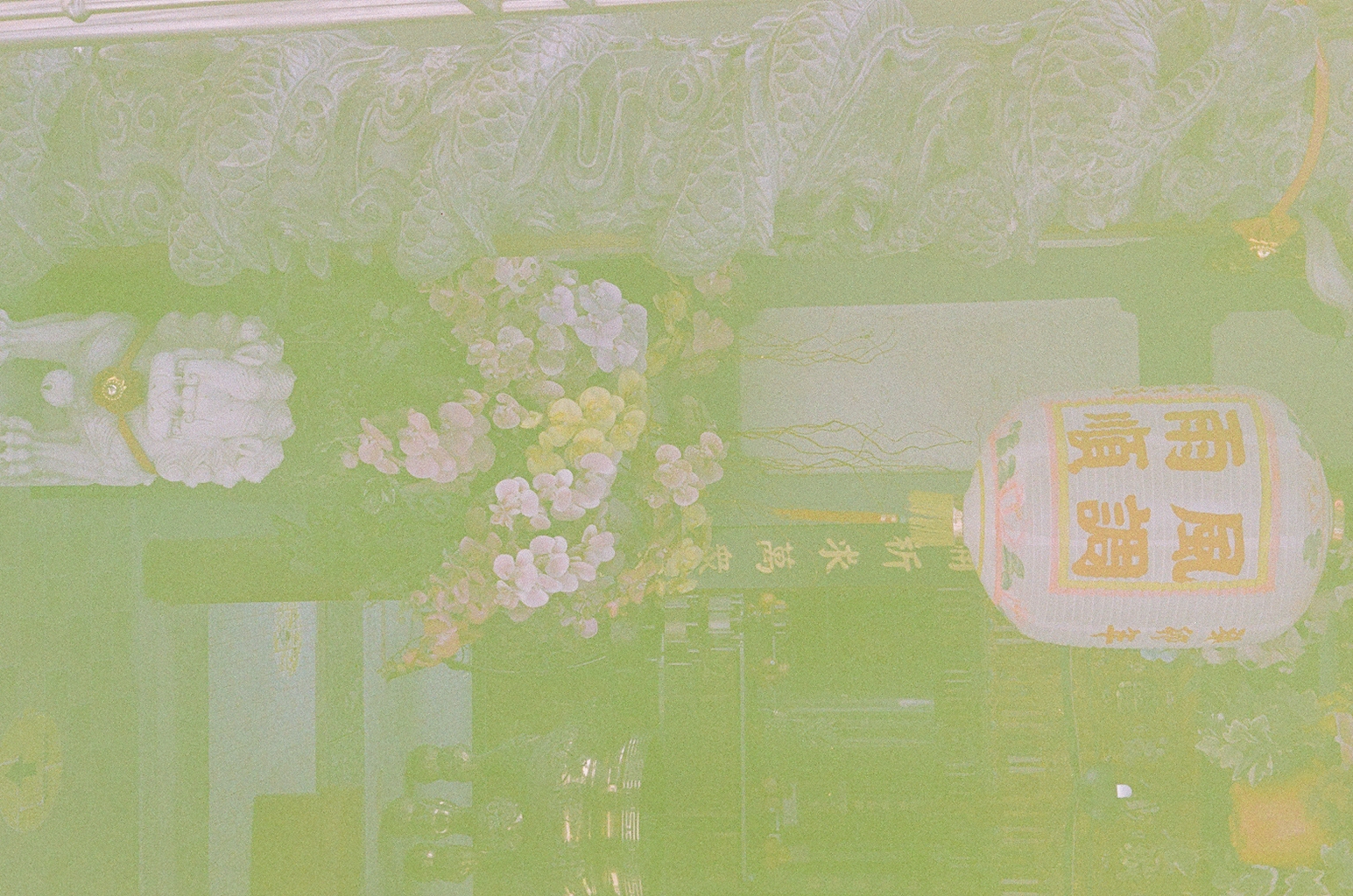 Expired Fuji Superia X-TRA 400 