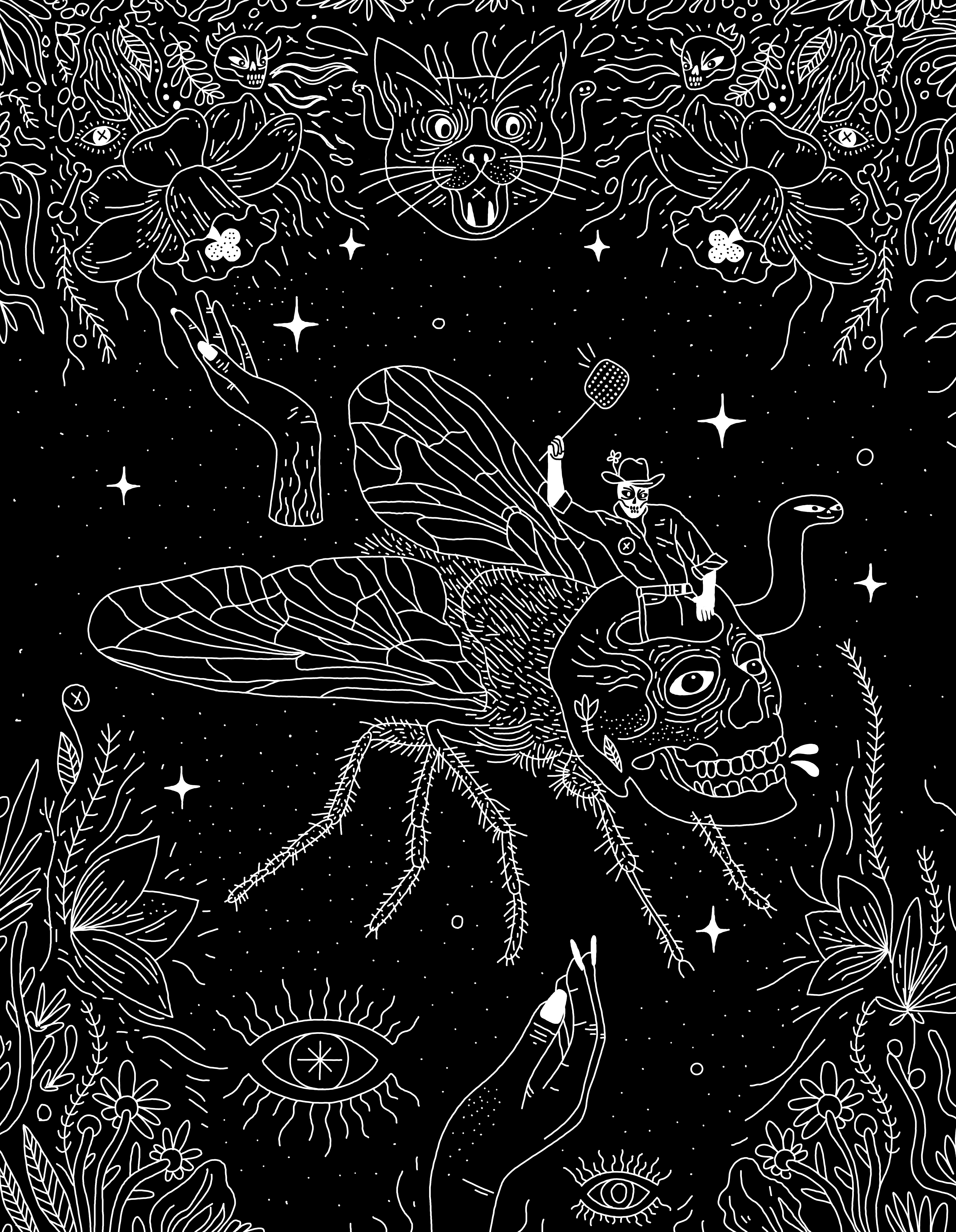 Flies and Cowboys