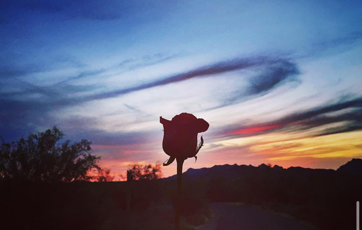 Lost Dutchman State Park, 2017