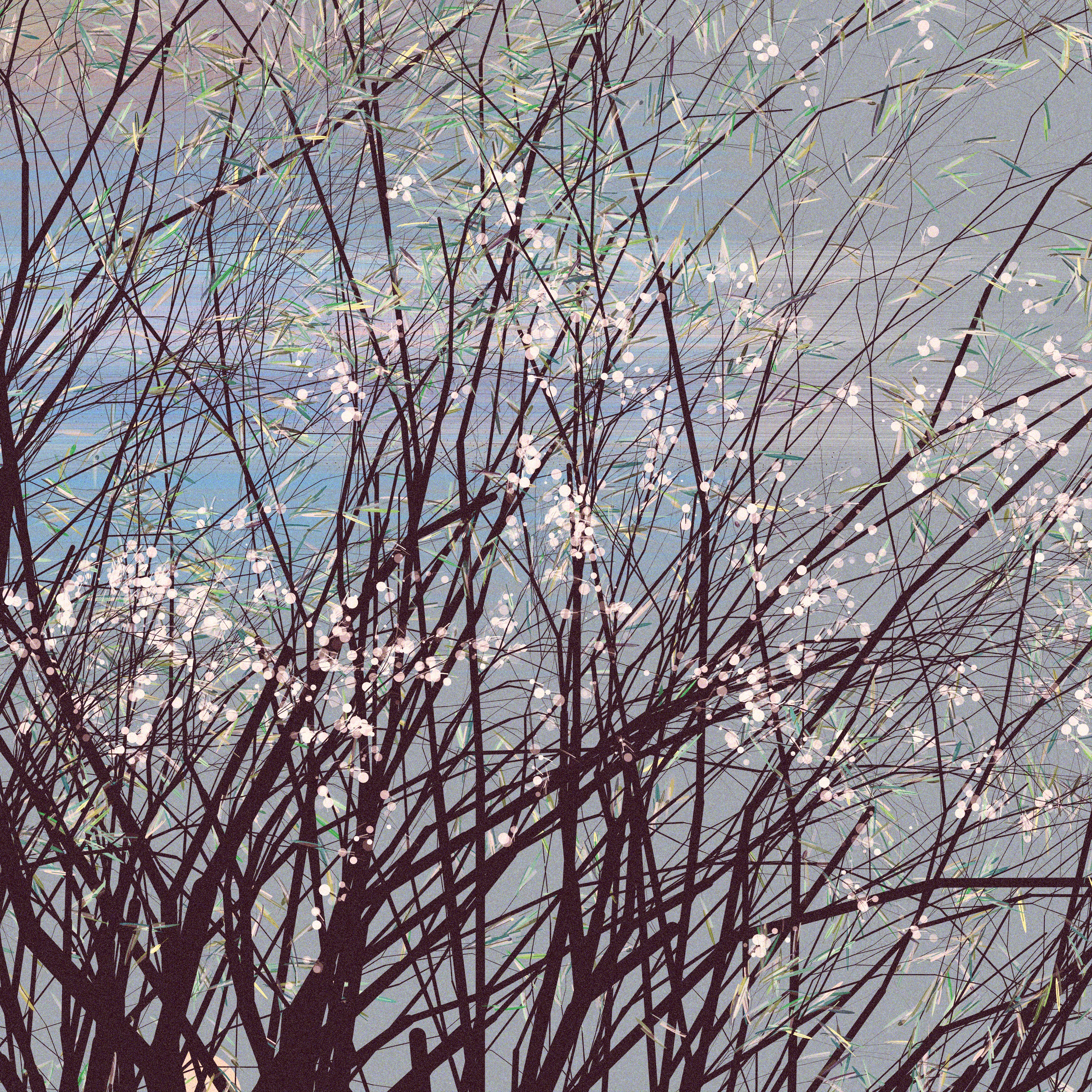 conversation with the wind