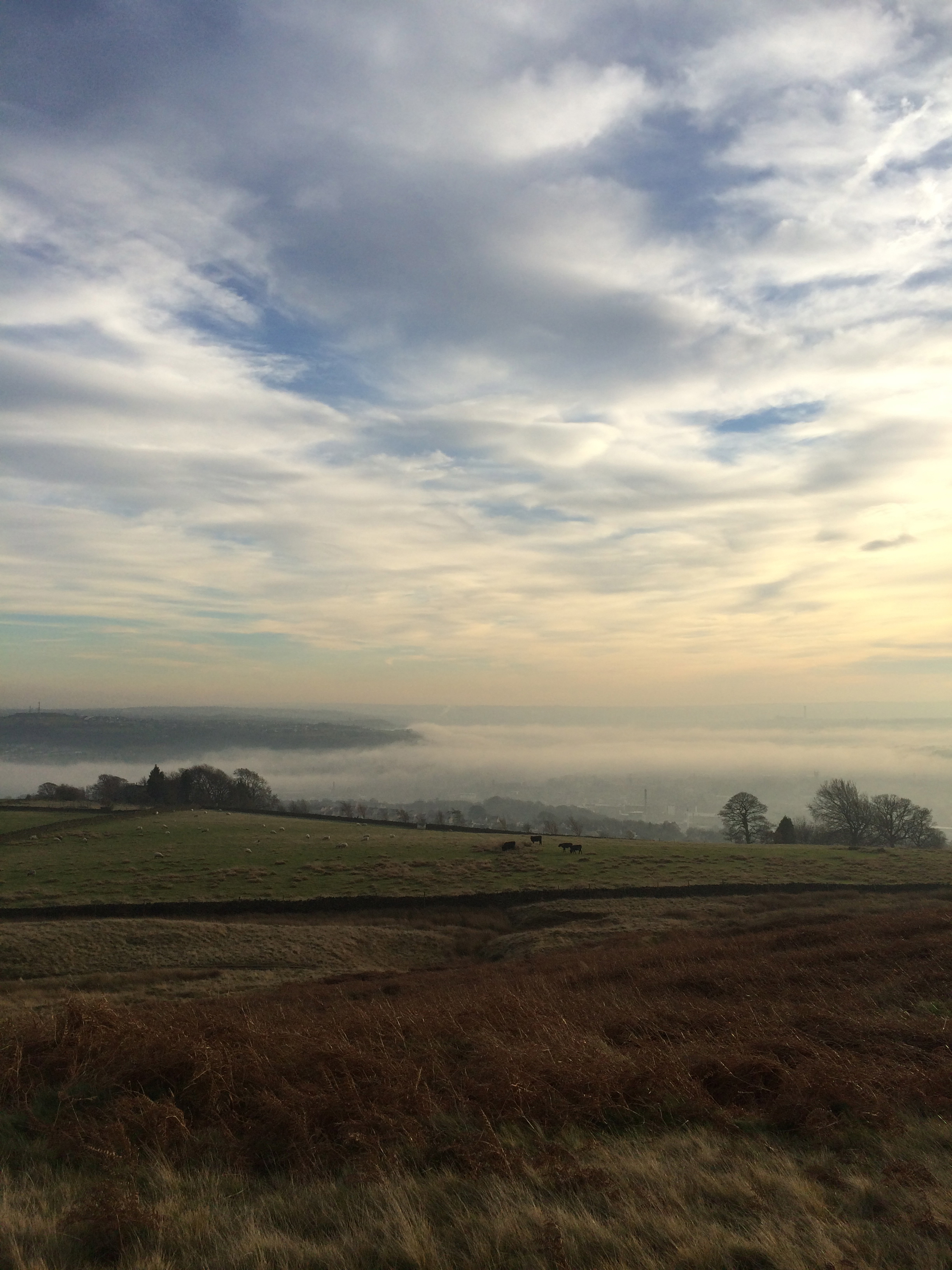 december moorland 5:6