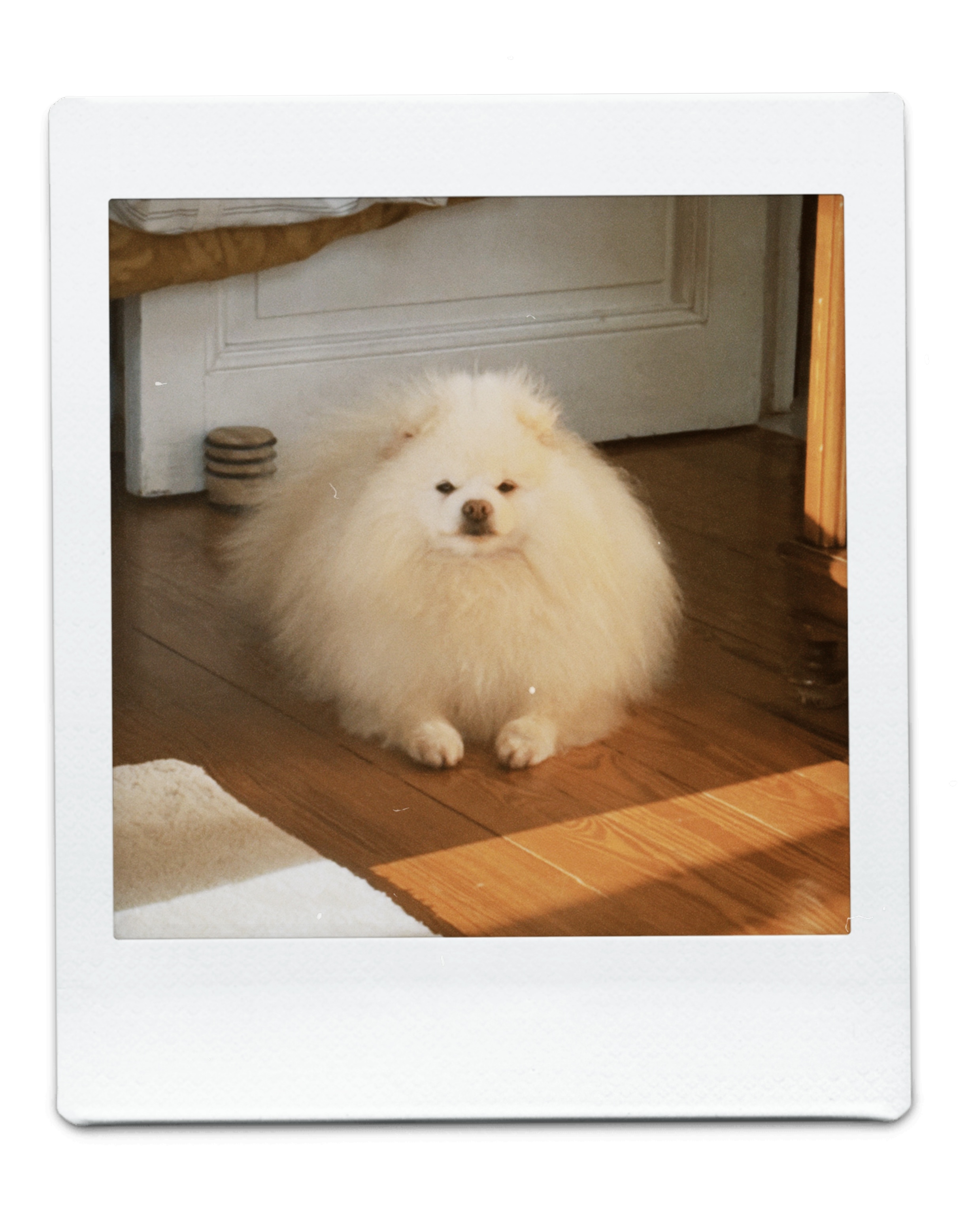 Focus Fuels Progress. Stay Locked In