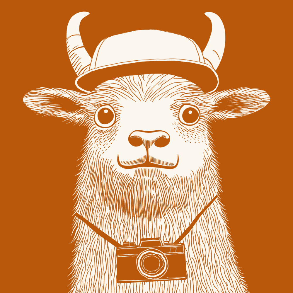 Summer Zoolini - Yak