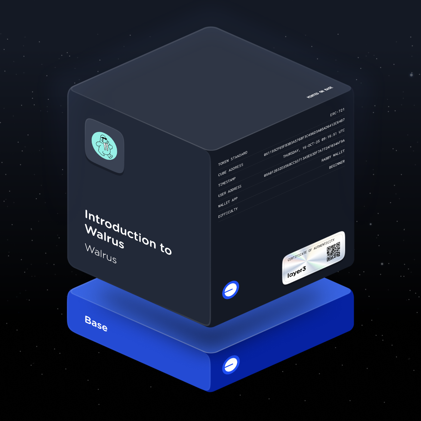 Introduction to Walrus