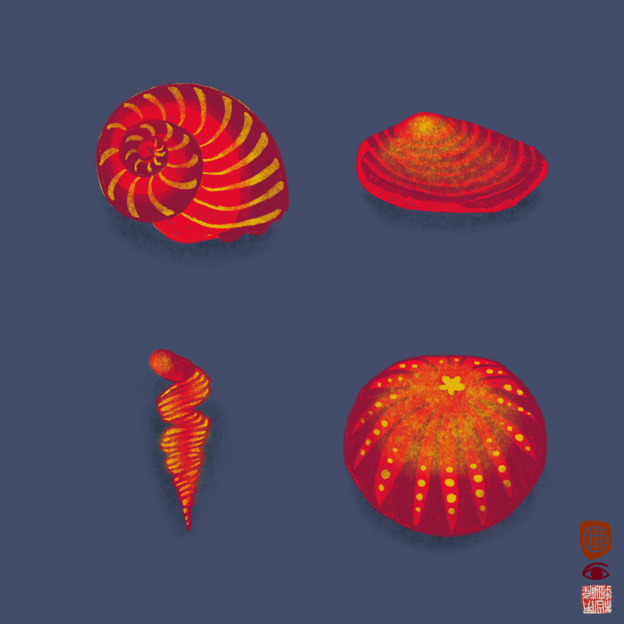 shells