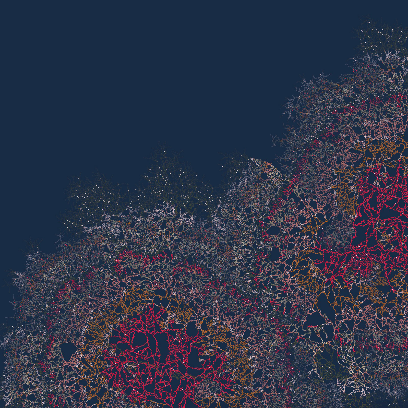 coral mode - recursive systems