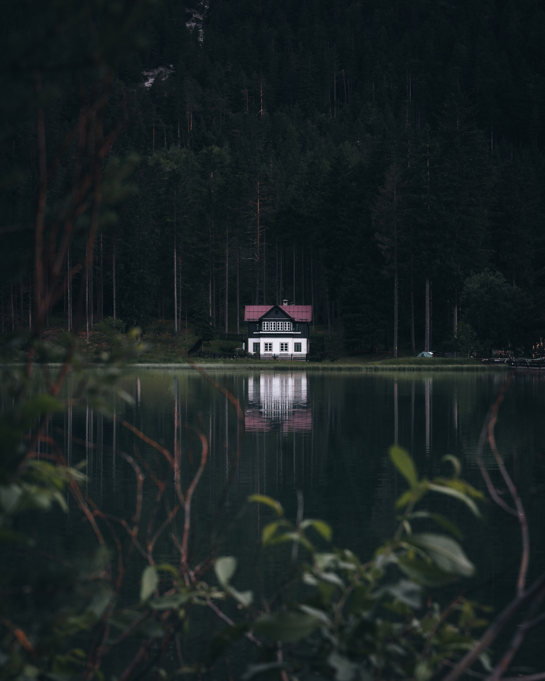Cabin in the woods 🏕️