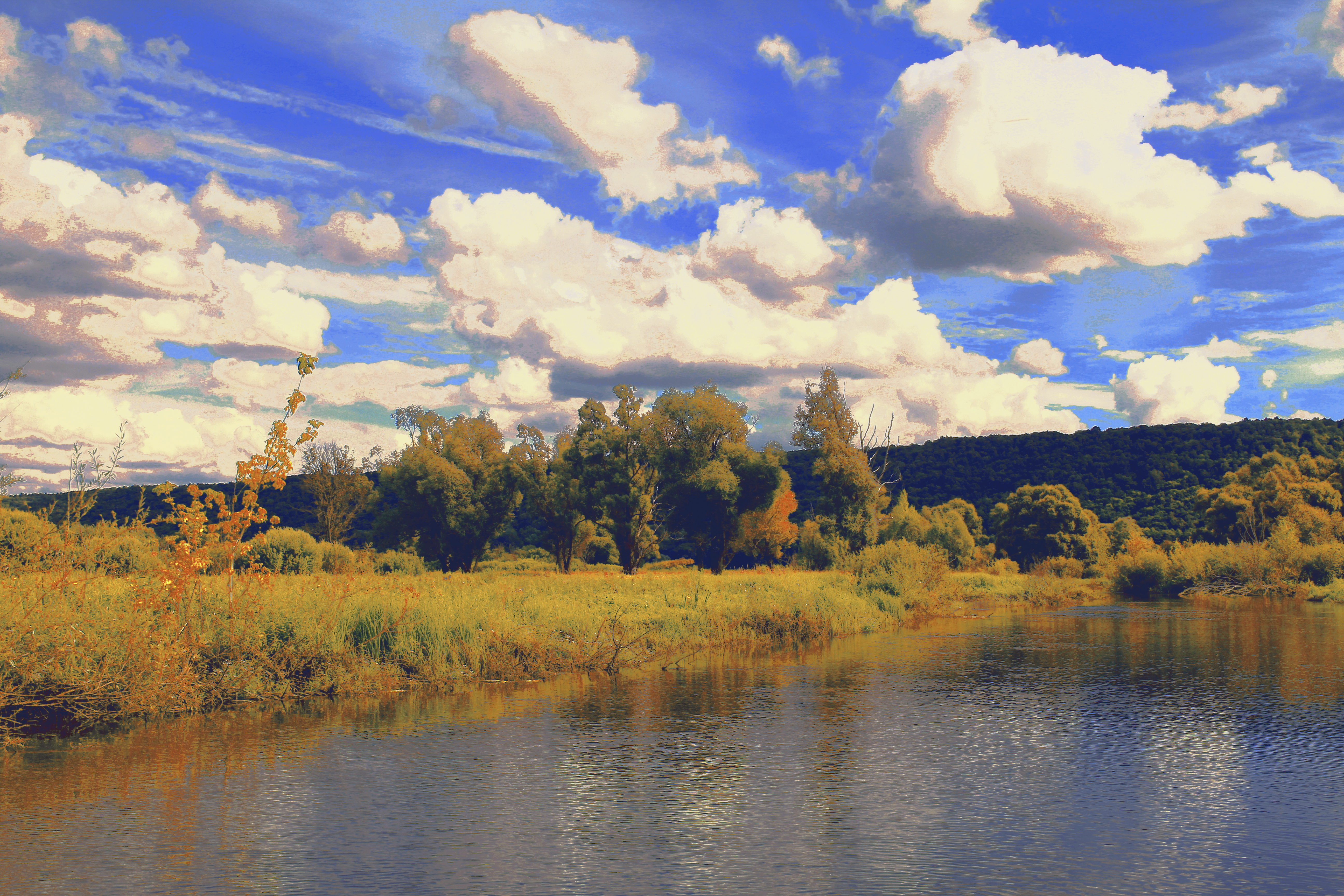 PICTURESQUE SCENERY 1672