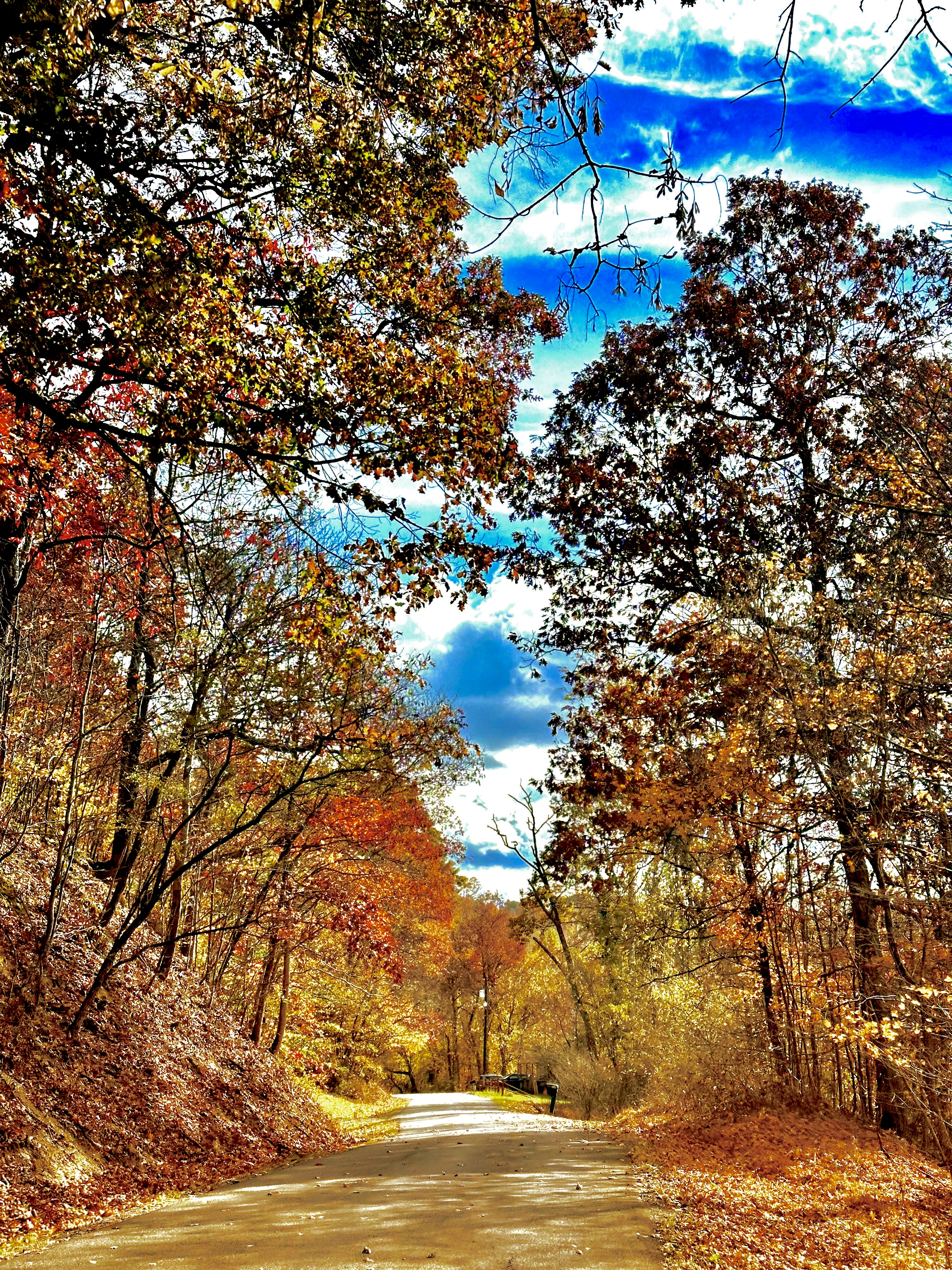 take the back roads