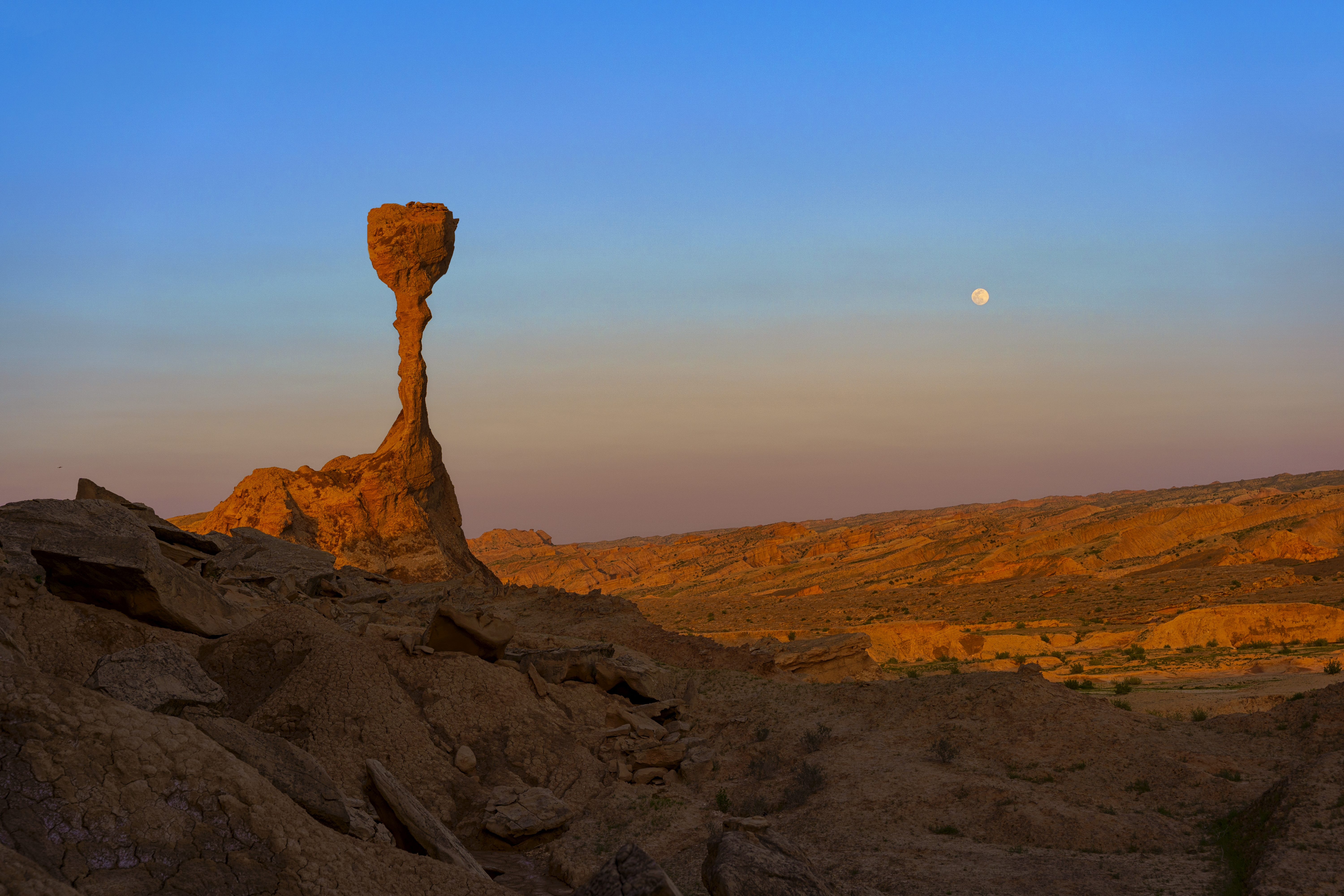 Earth Stands with Crypto #60494