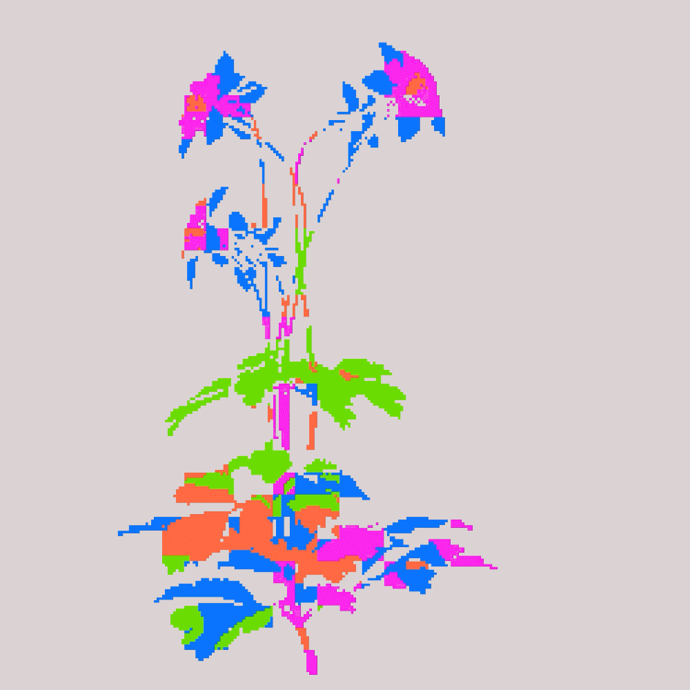 Base @ ETHDenver 2025 #1678