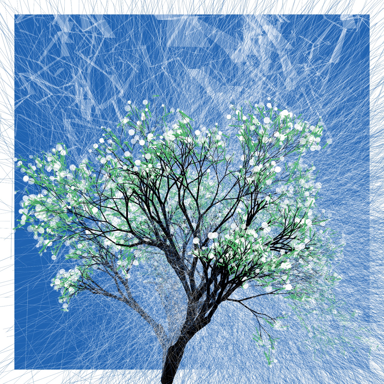 A Portrait of the Tree