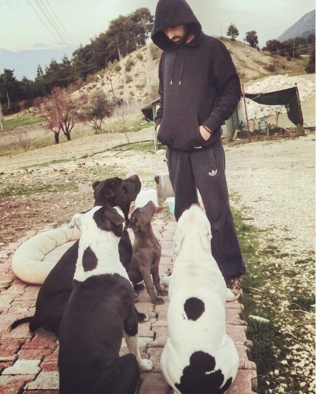 "The Beloved Times" #522