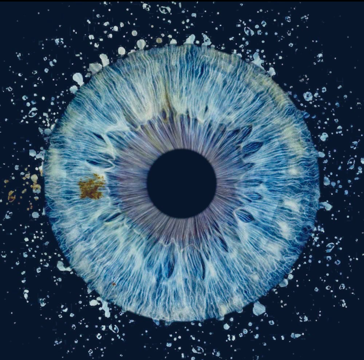 Blue Eye Dreamer #13