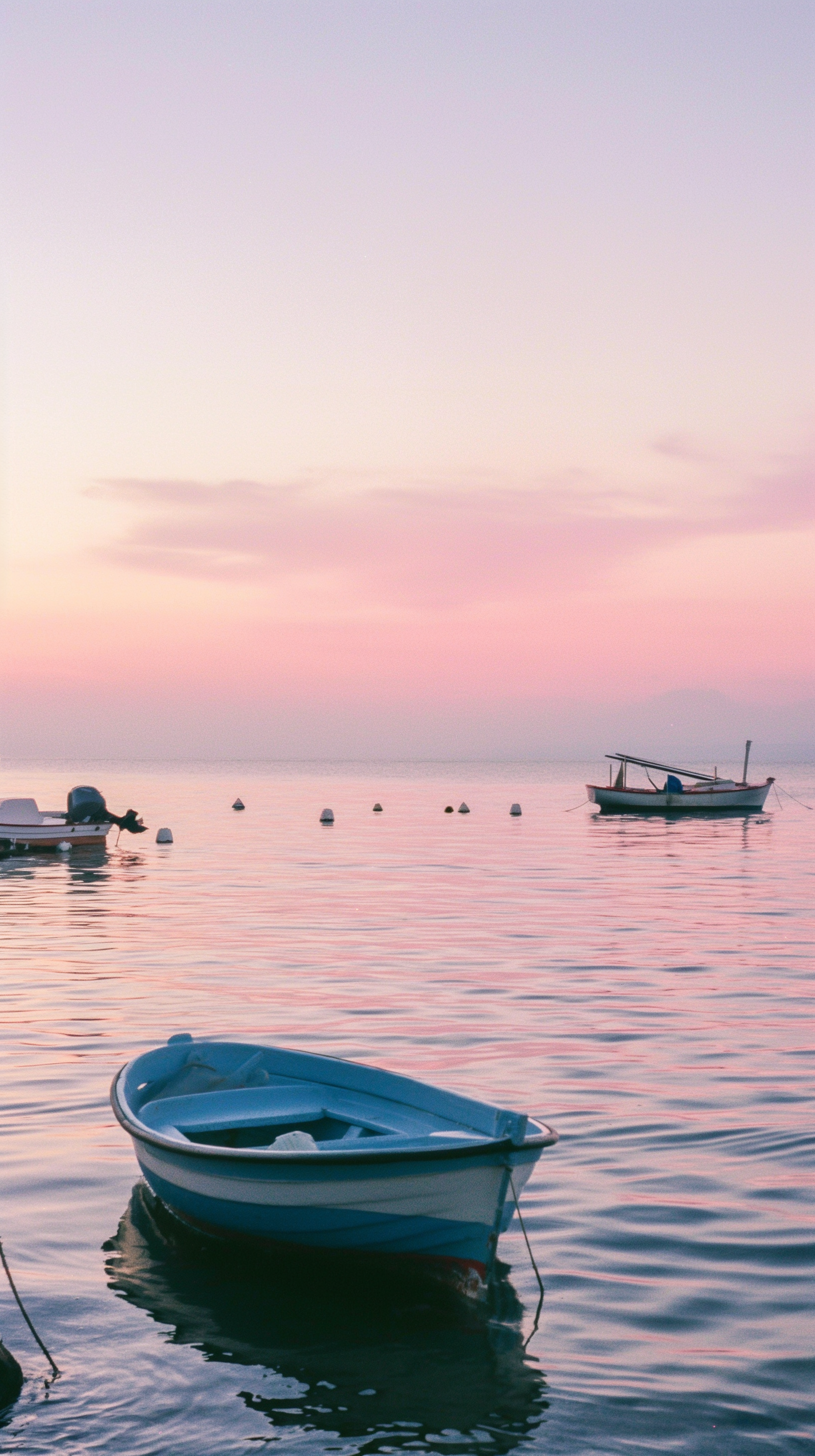 Summer at the Lake