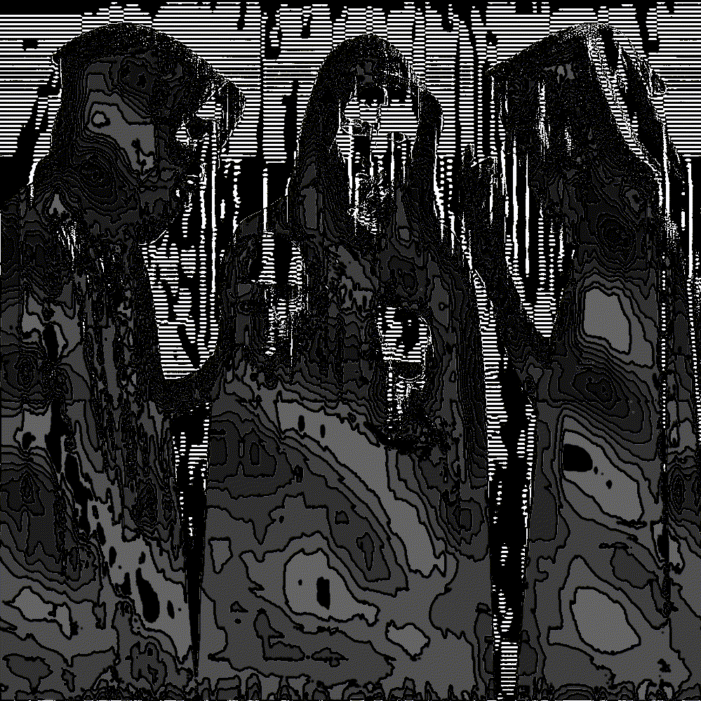 Skull Collectors