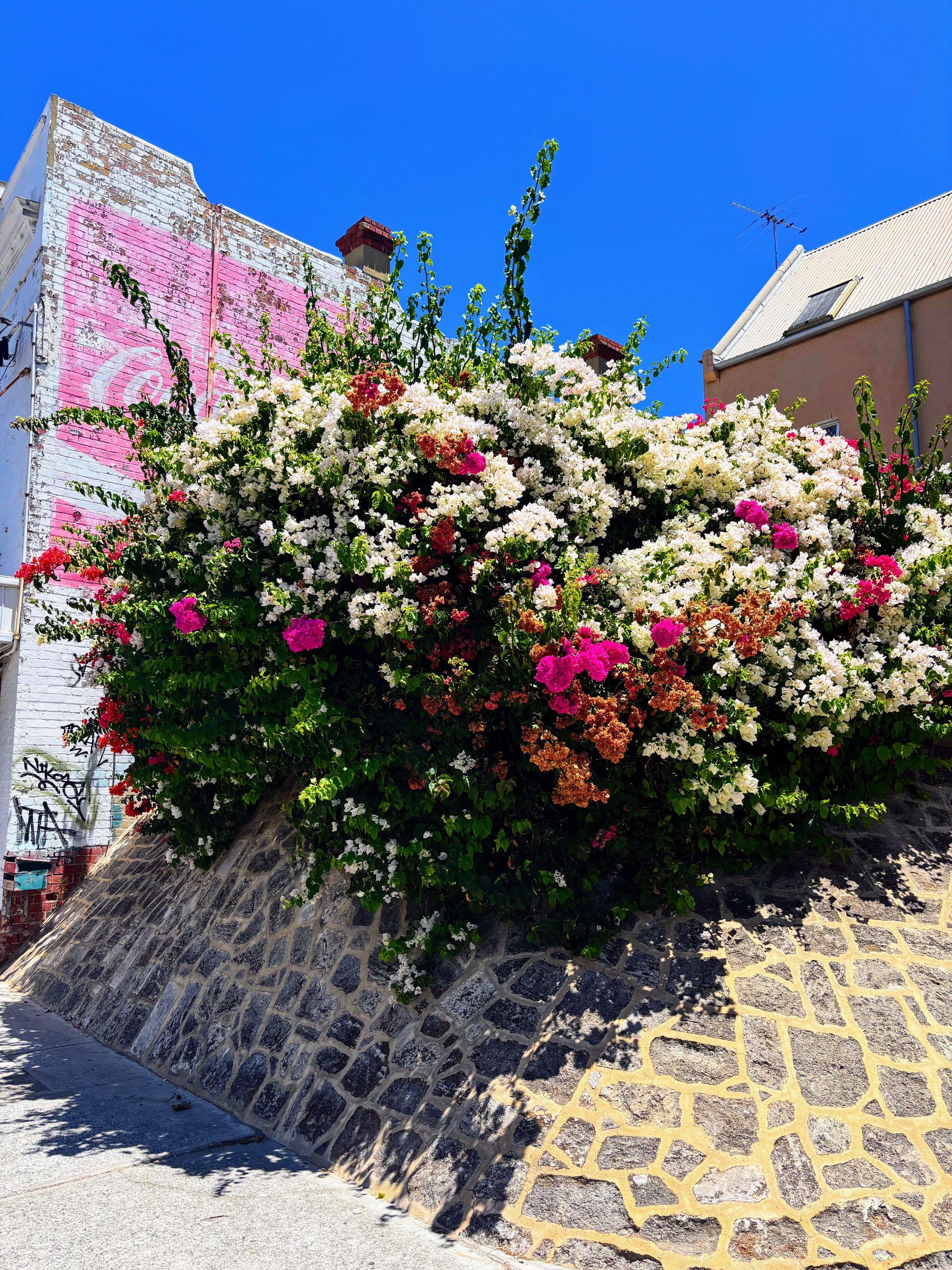 FLOWERS