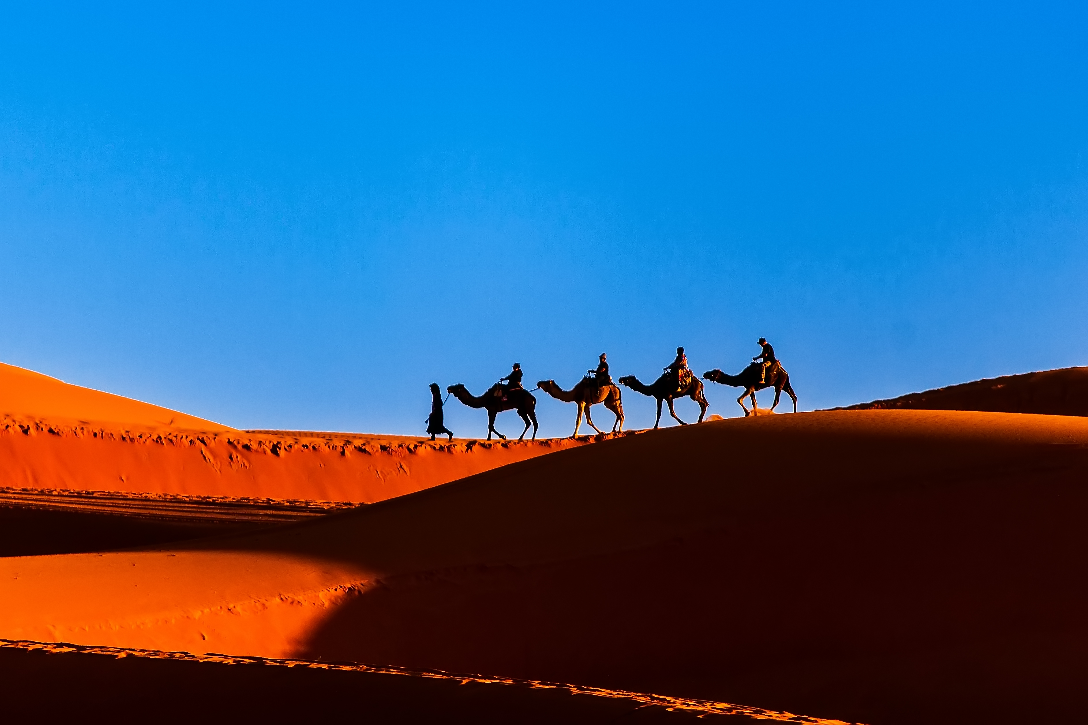 Beneath the Endless Desert Sky #175