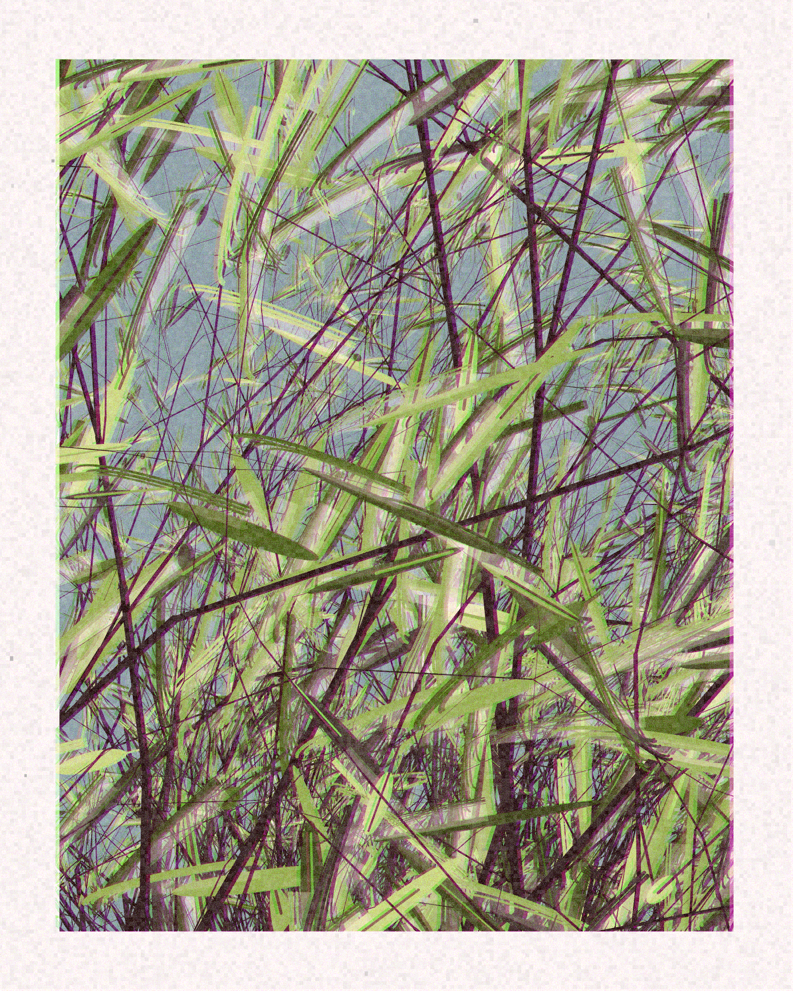 conversation with the wind