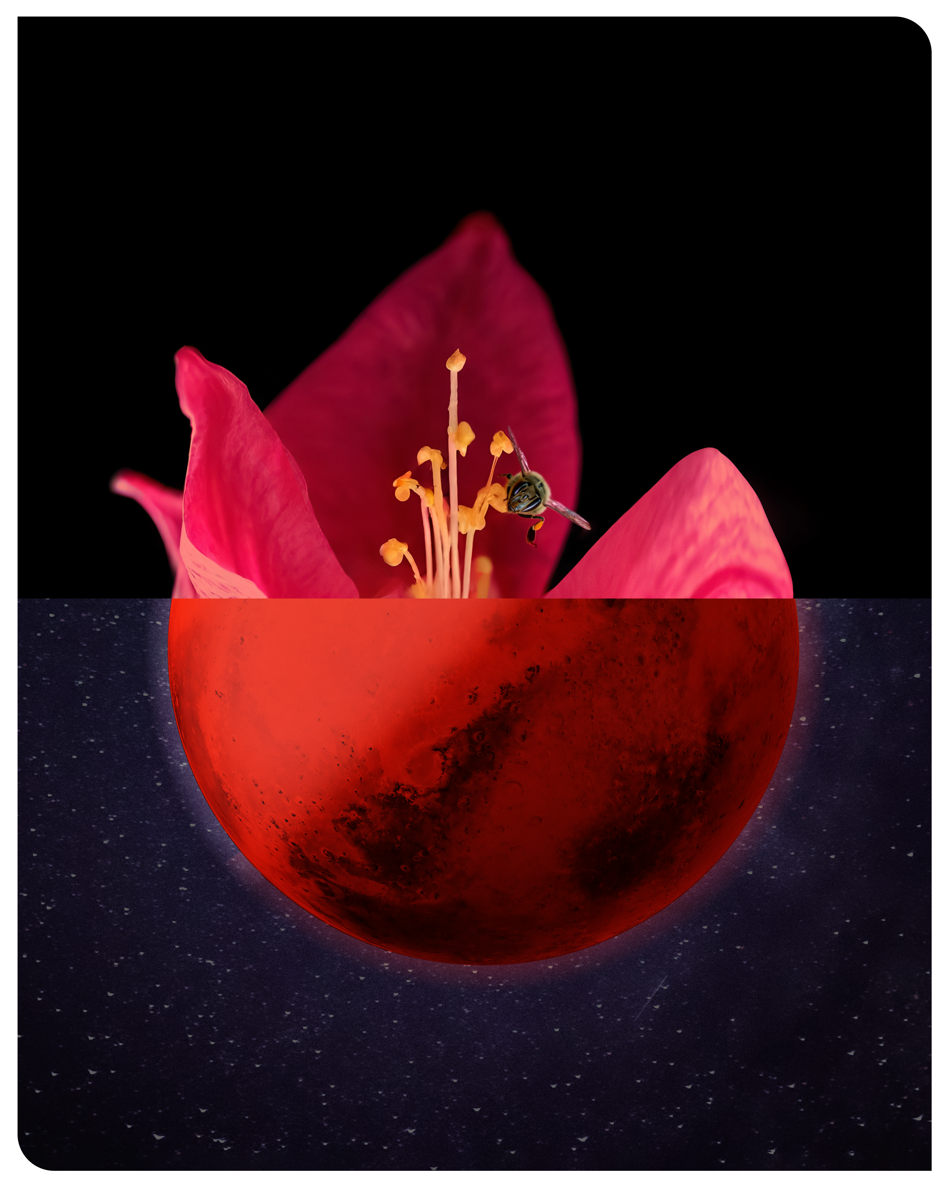 The Blooming of a New World