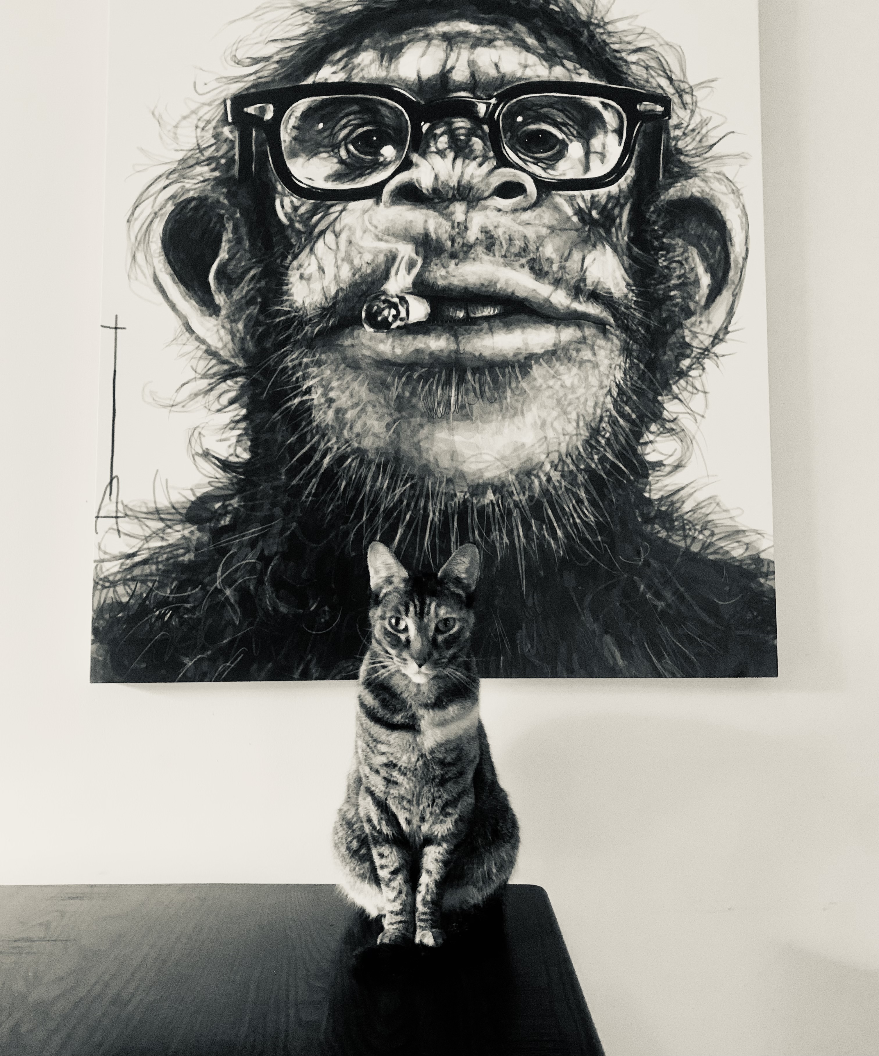 Local Curator #25
