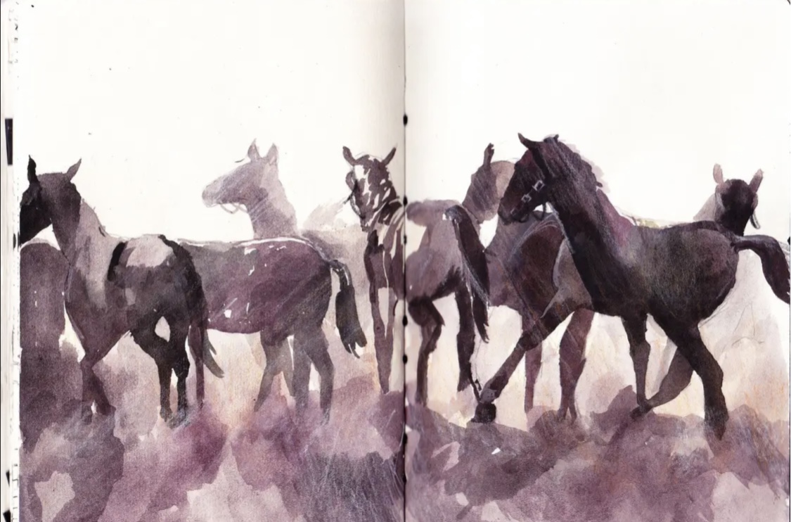 Wild Parade