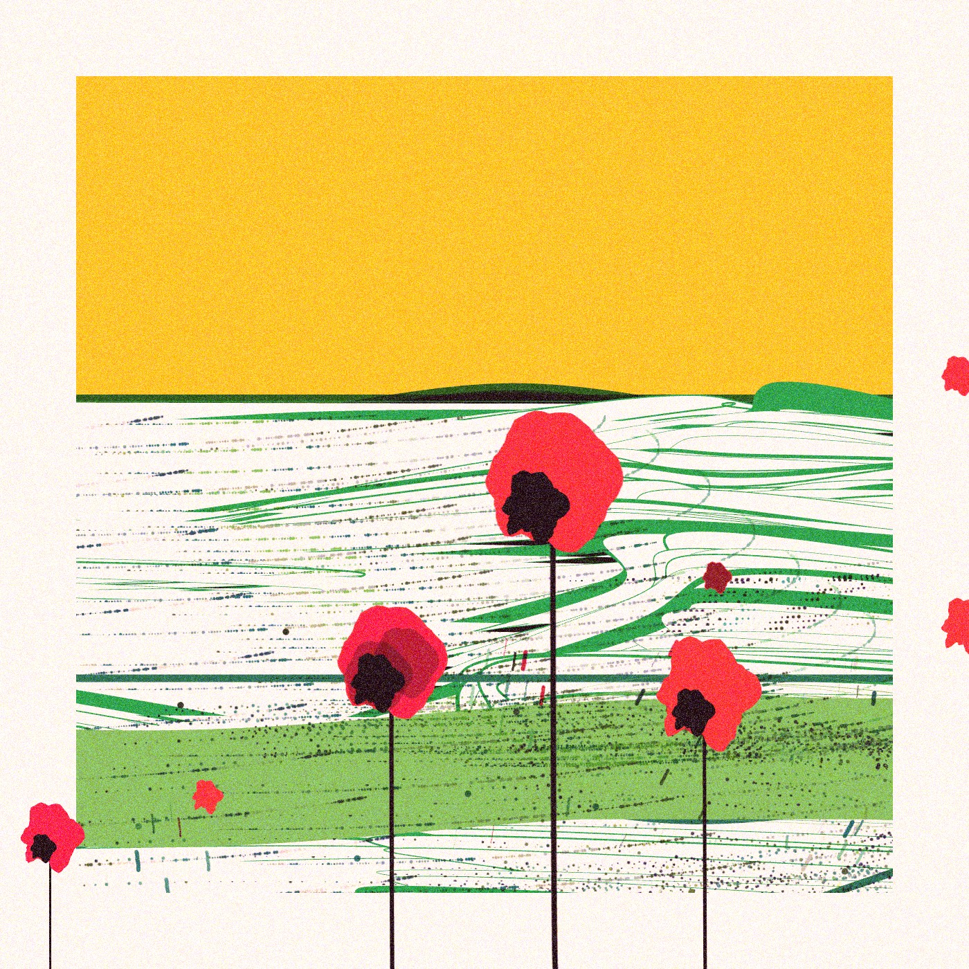Poppies of Normandy
