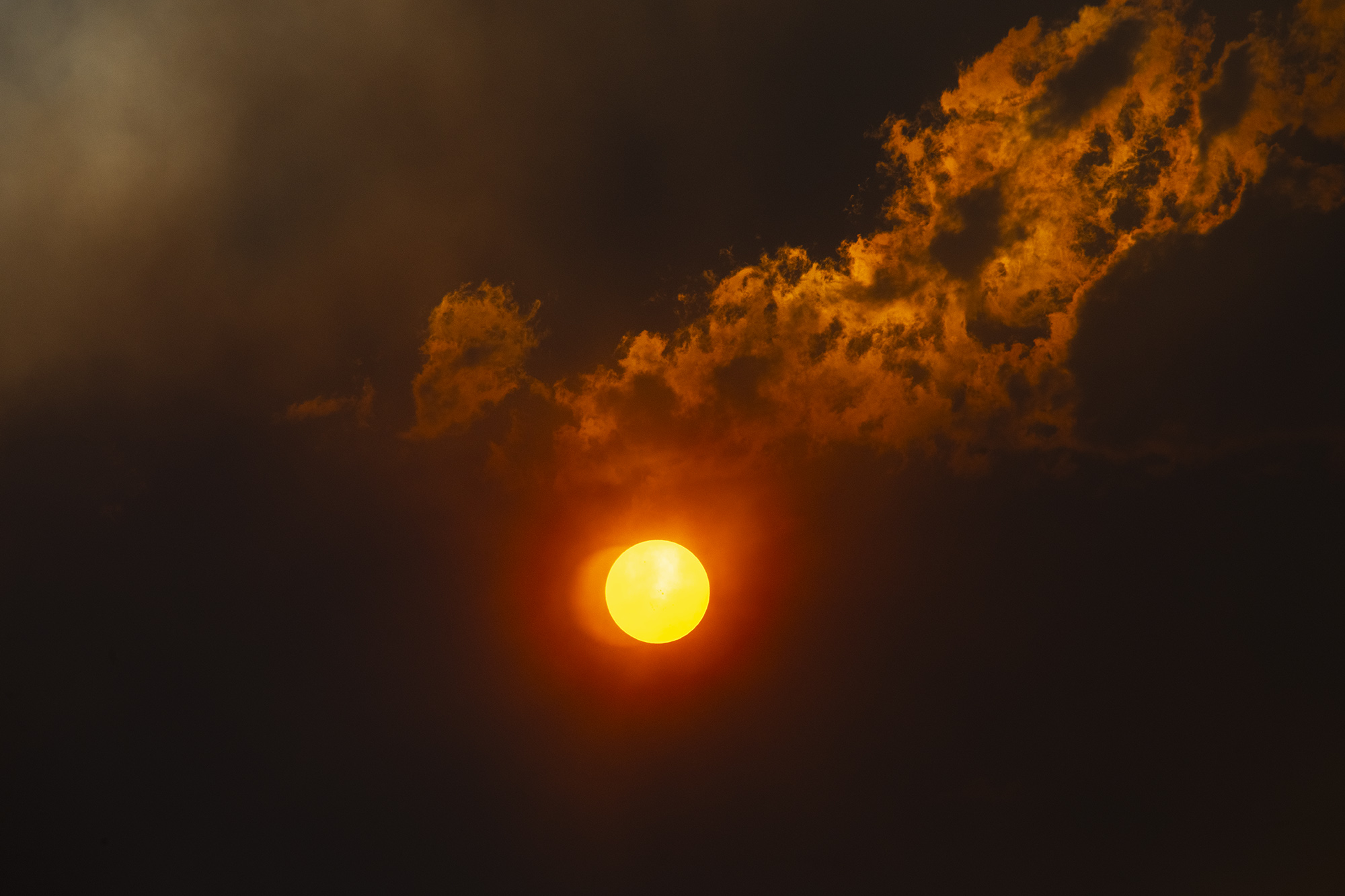 Fire Season #4