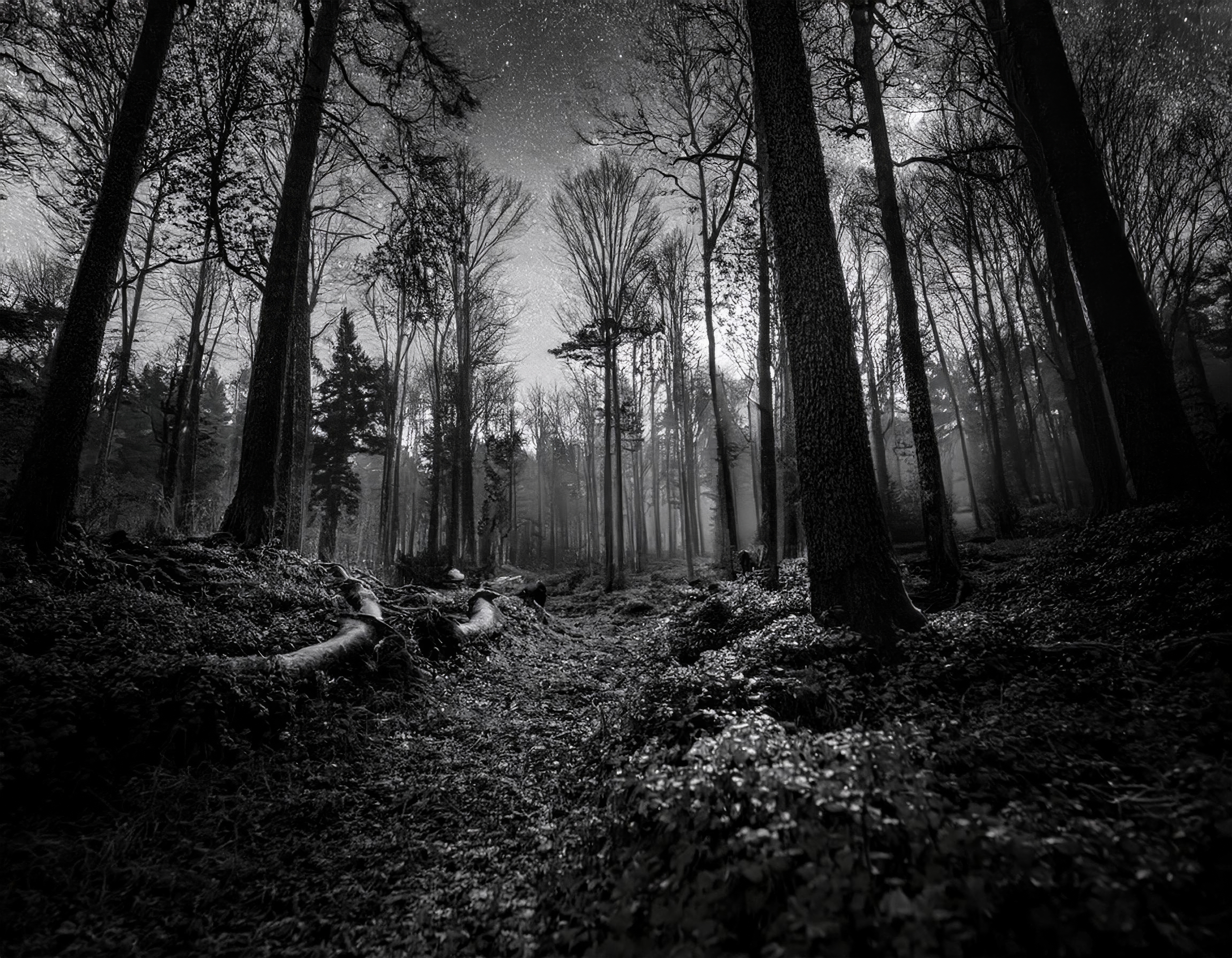 Labyrinth #374