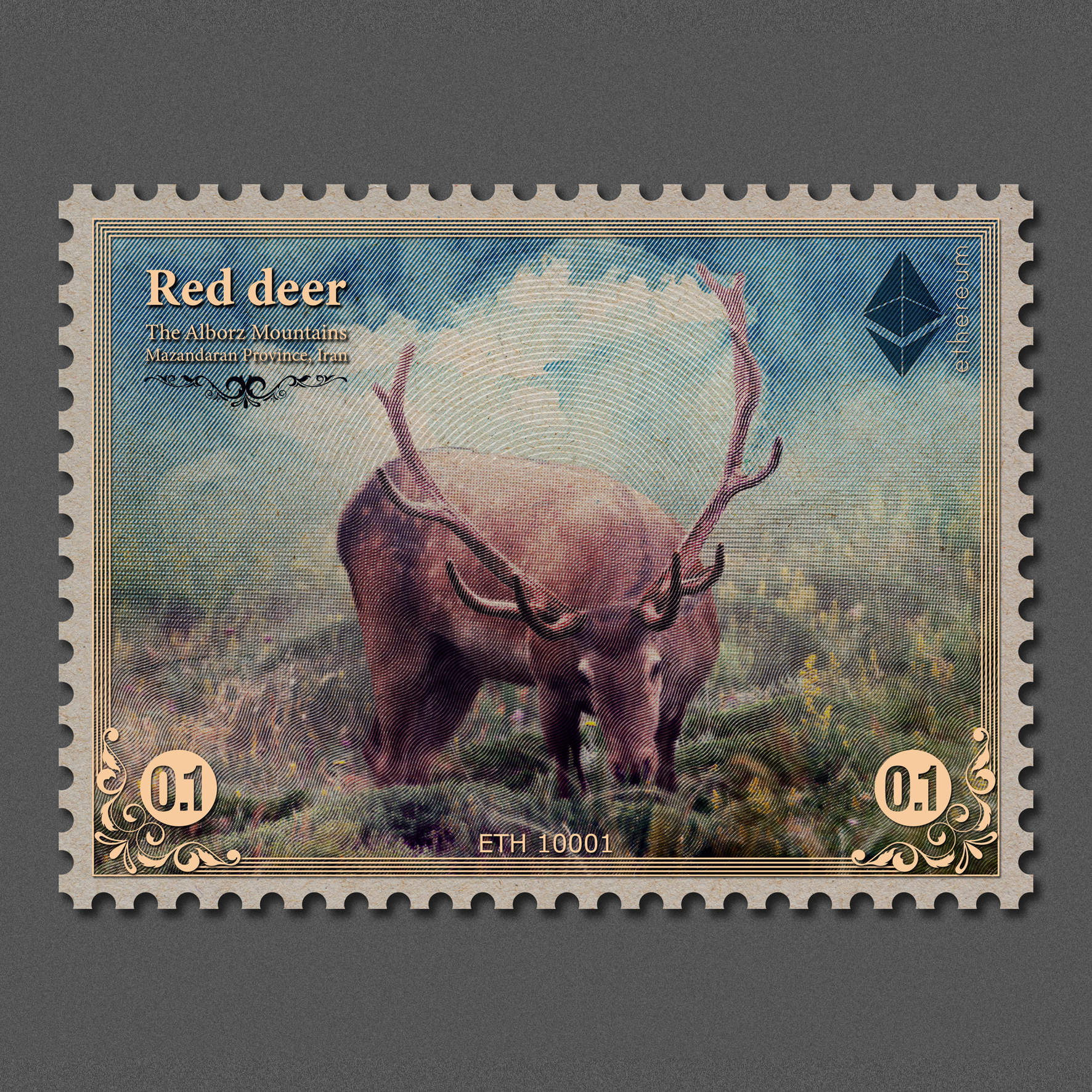 Red Deer