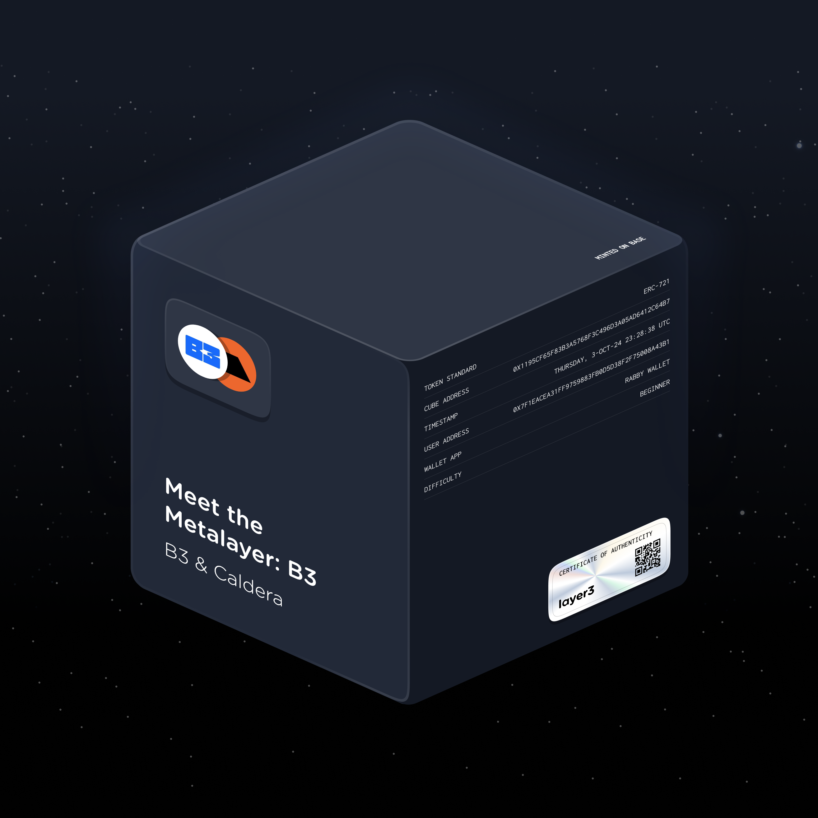 Meet the Metalayer: B3